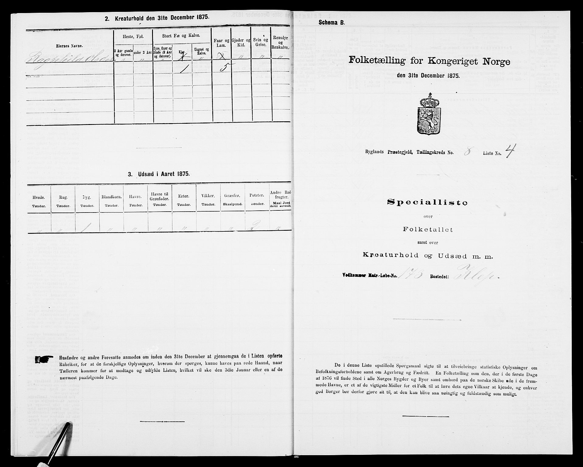 SAK, 1875 census for 0938P Bygland, 1875, p. 696