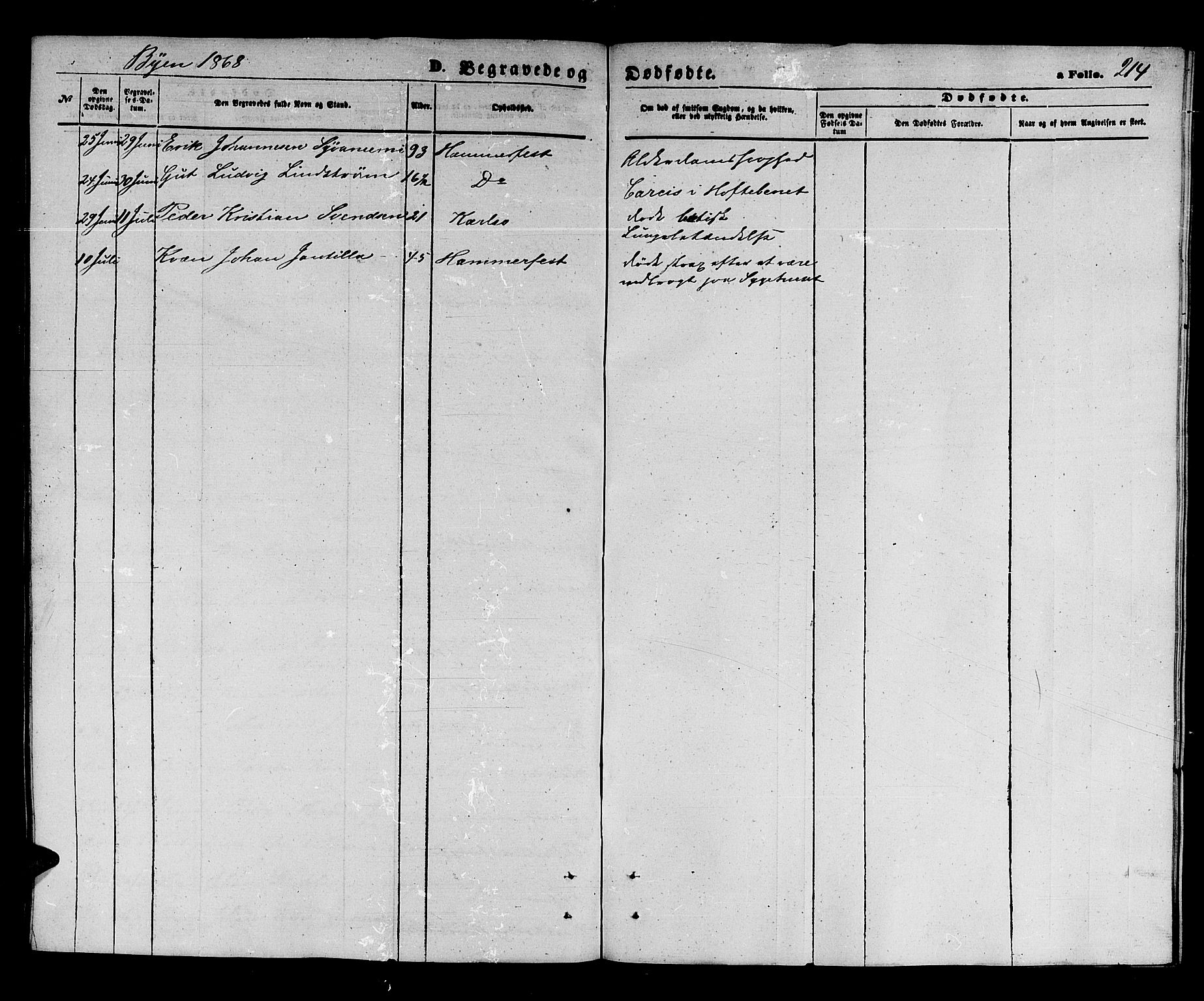 Hammerfest sokneprestkontor, AV/SATØ-S-1347/H/Hb/L0003.klokk: Parish register (copy) no. 3 /1, 1862-1868, p. 214