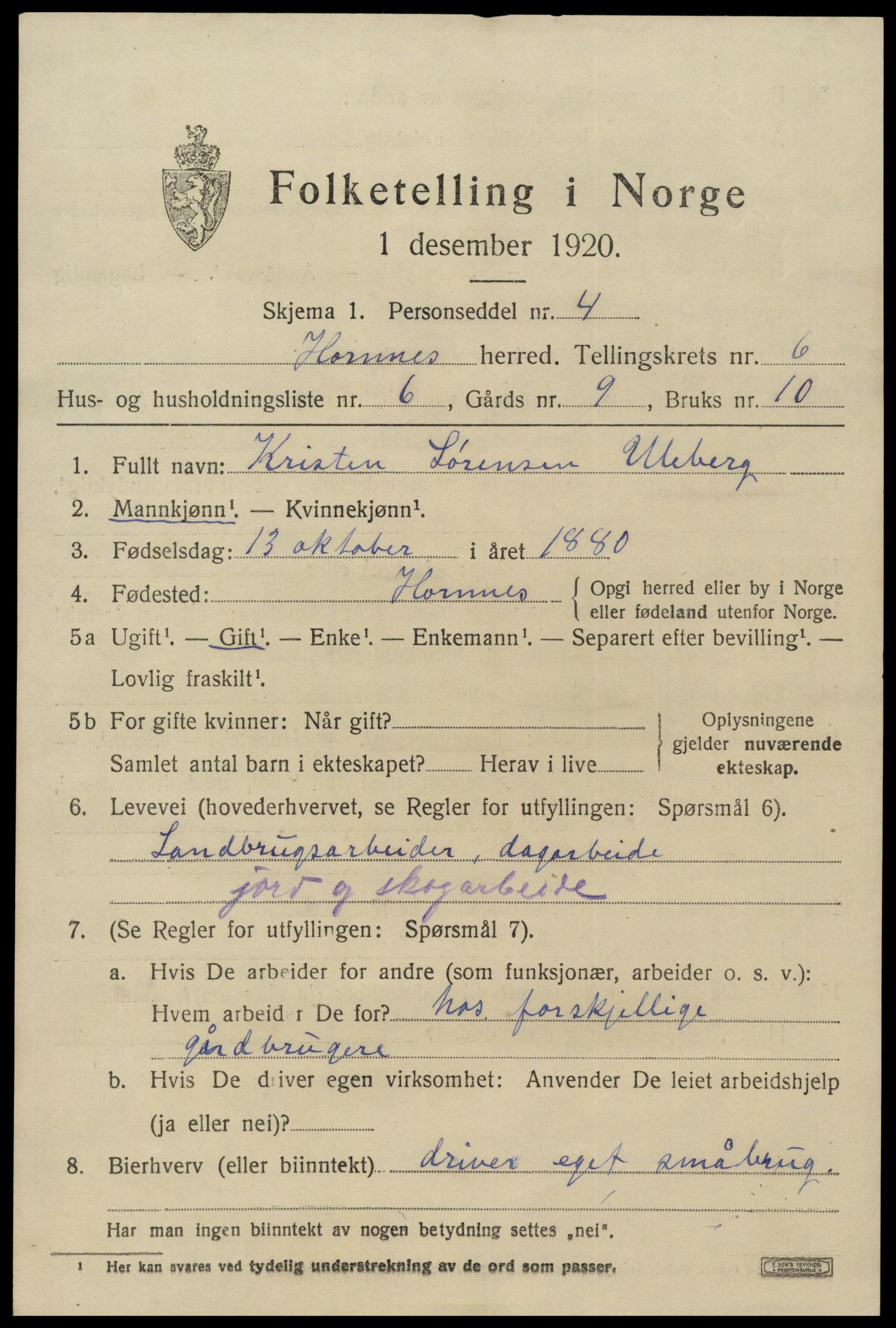 SAK, 1920 census for Hornnes, 1920, p. 1619