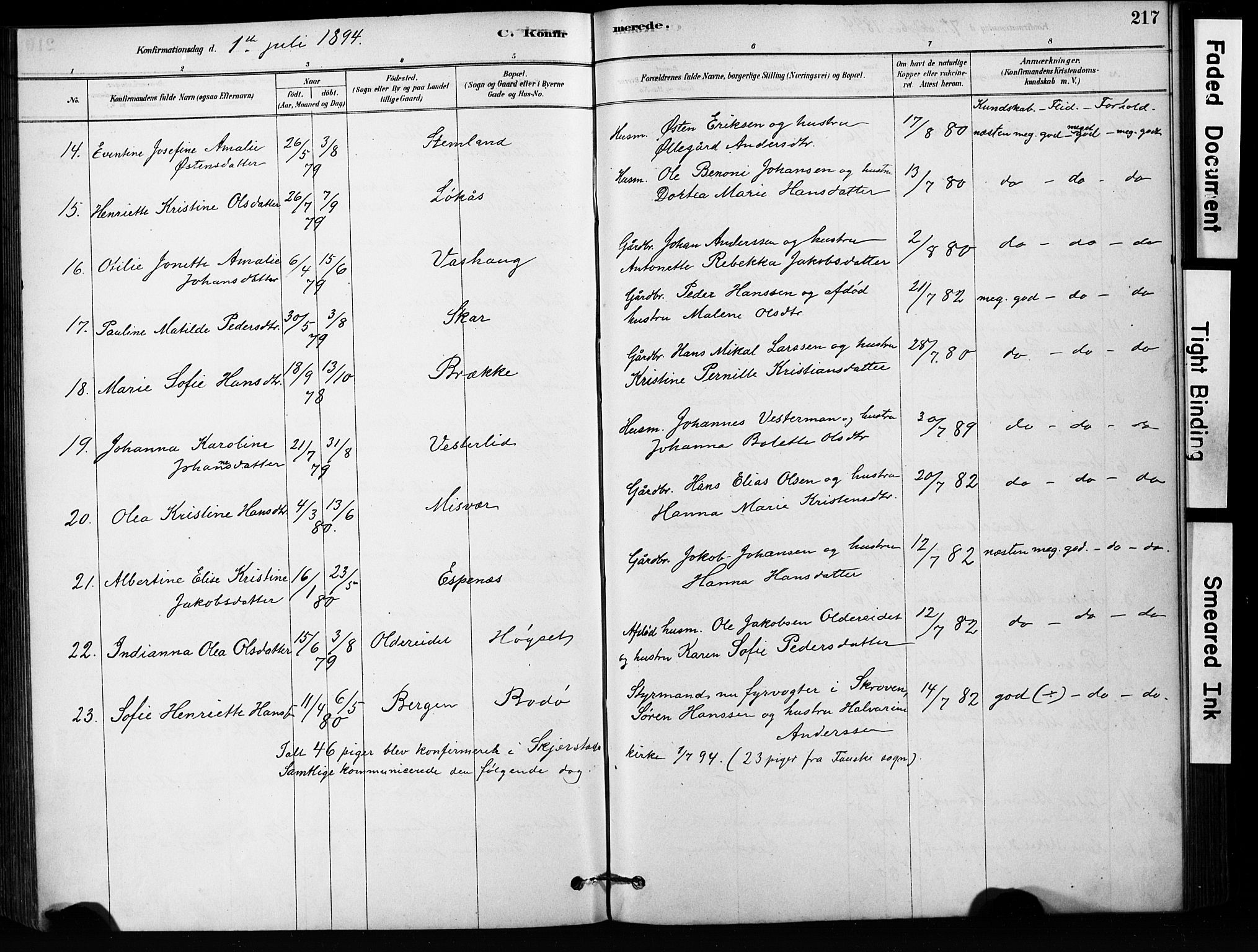 Ministerialprotokoller, klokkerbøker og fødselsregistre - Nordland, AV/SAT-A-1459/852/L0754: Parish register (copy) no. 852C05, 1878-1894, p. 217