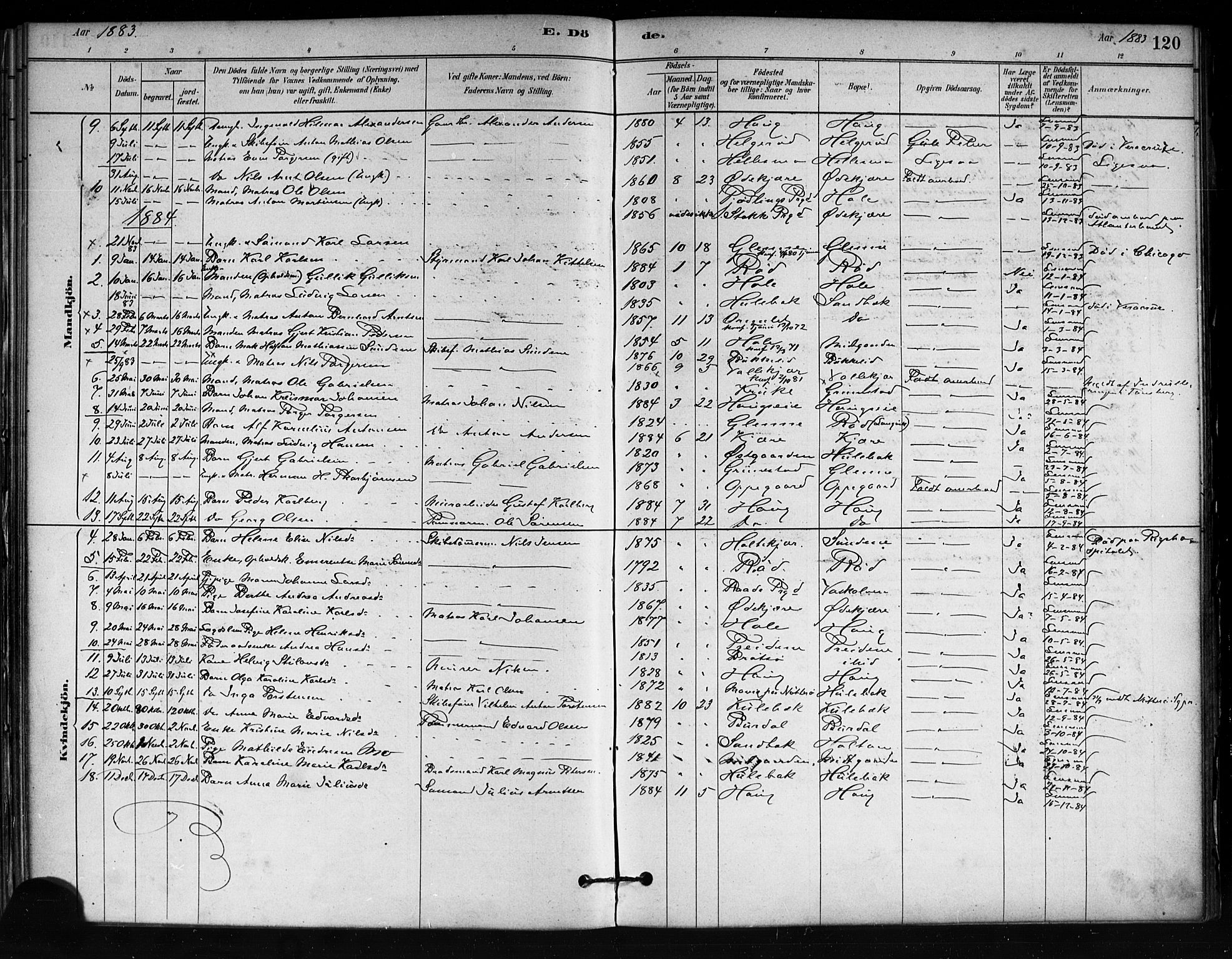 Tjøme kirkebøker, AV/SAKO-A-328/F/Fa/L0001: Parish register (official) no. I 1, 1879-1890, p. 120