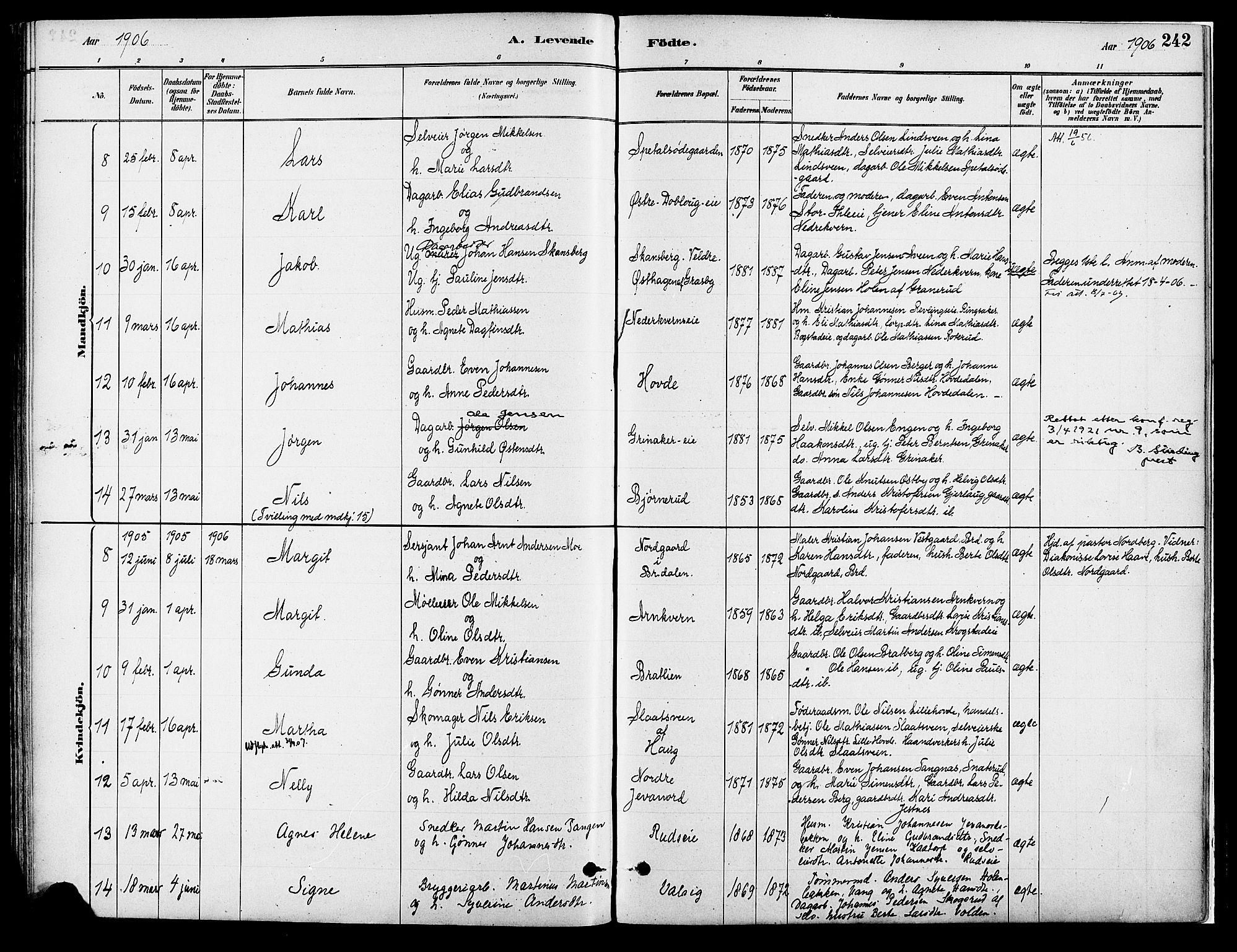 Vang prestekontor, Hedmark, AV/SAH-PREST-008/H/Ha/Haa/L0018A: Parish register (official) no. 18A, 1880-1906, p. 242