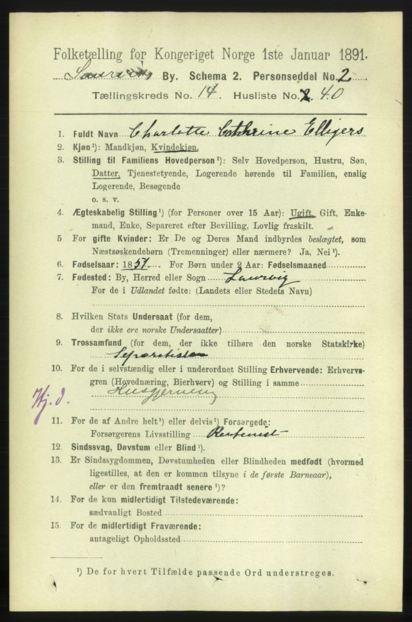 RA, 1891 census for 0707 Larvik, 1891, p. 11298