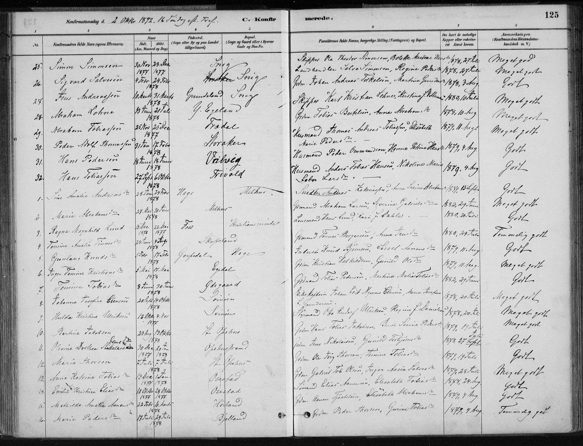 Sør-Audnedal sokneprestkontor, AV/SAK-1111-0039/F/Fa/Fab/L0009: Parish register (official) no. A 9, 1880-1895, p. 125