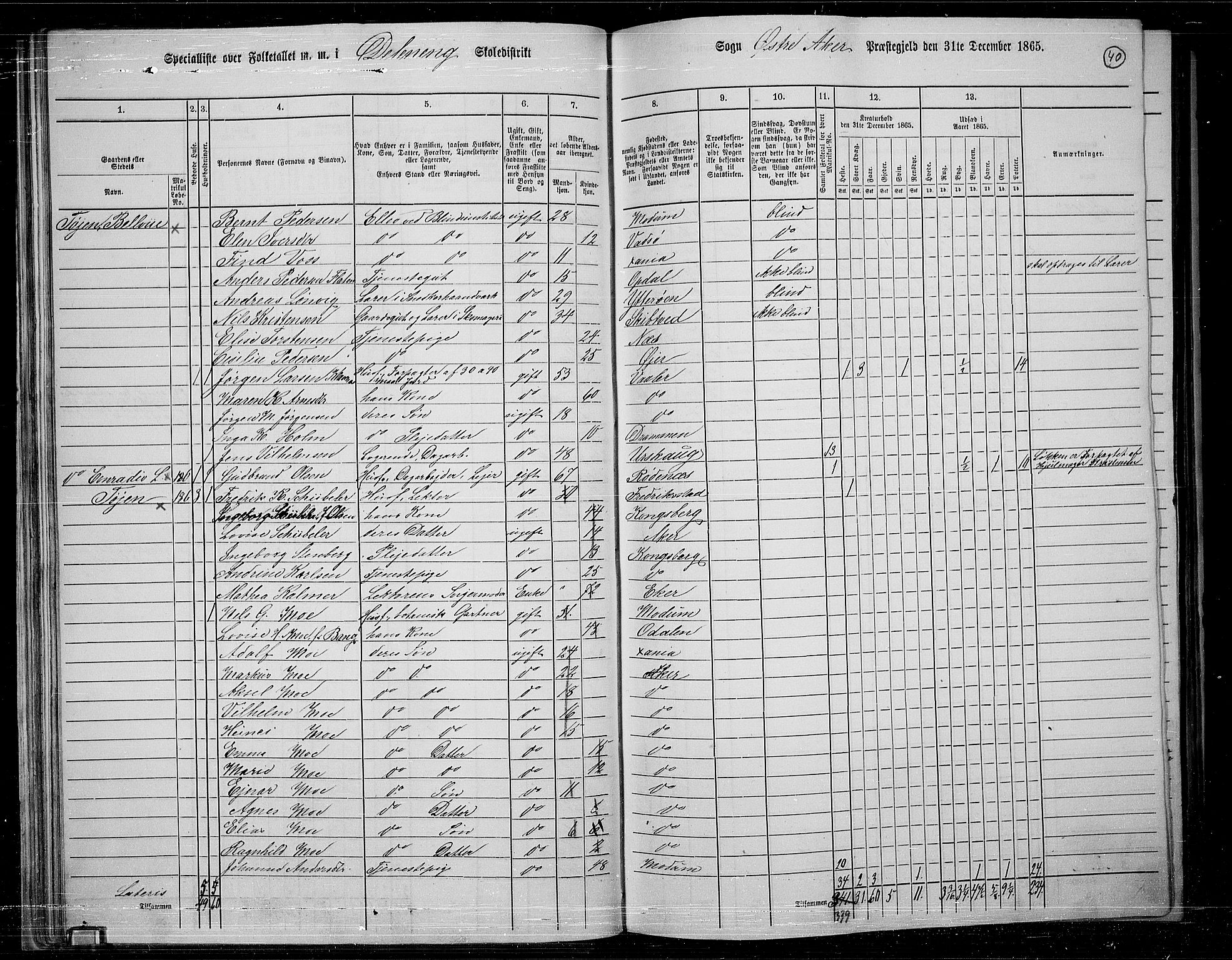 RA, 1865 census for Østre Aker, 1865, p. 37