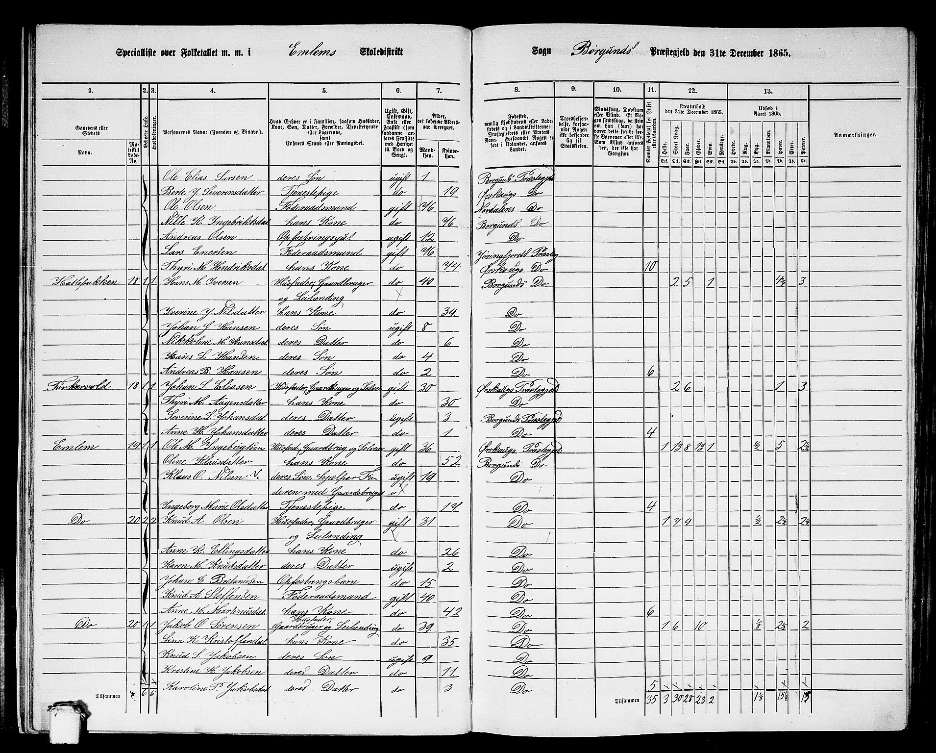 RA, 1865 census for Borgund, 1865, p. 20