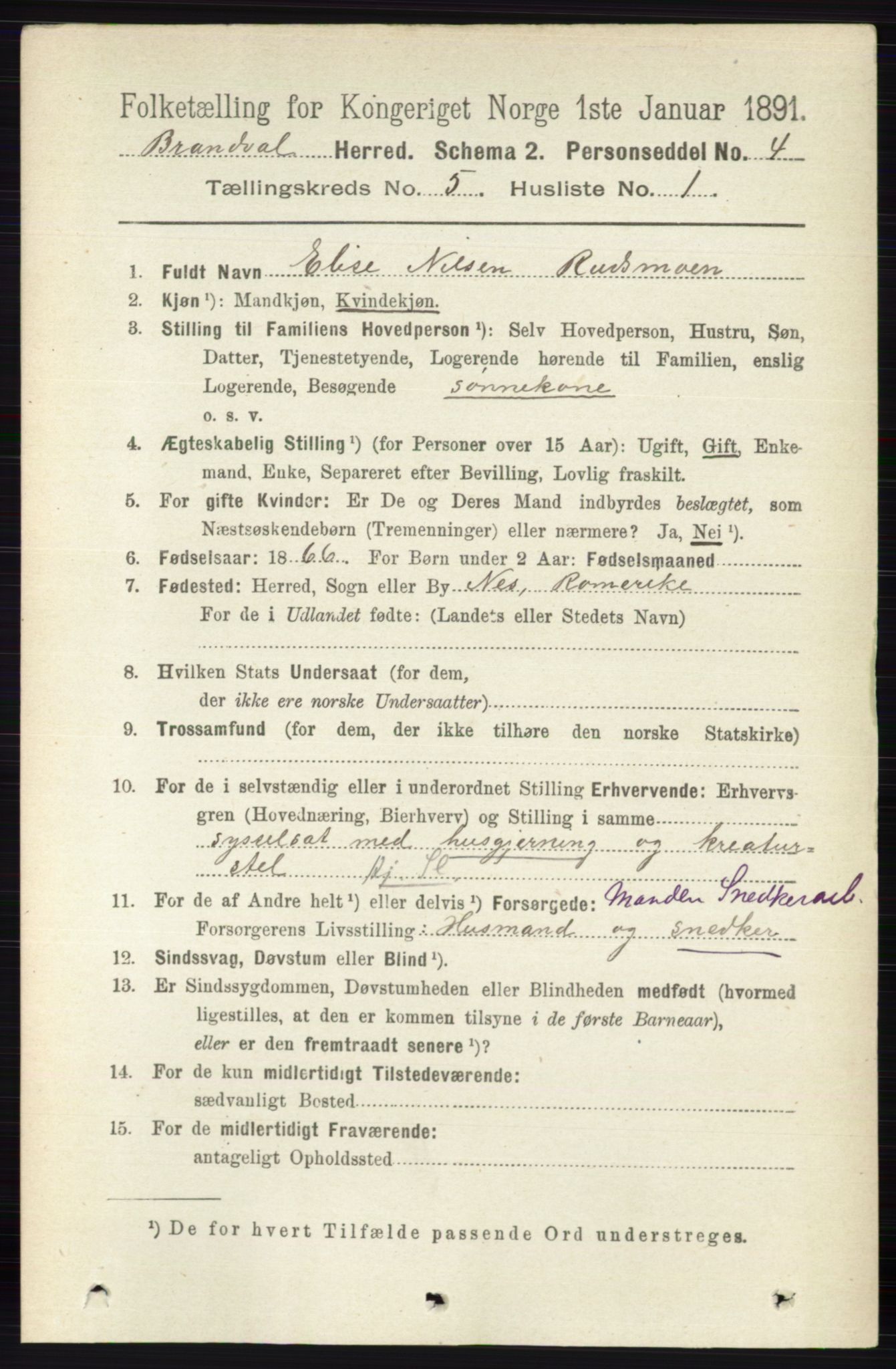 RA, 1891 census for 0422 Brandval, 1891, p. 2204