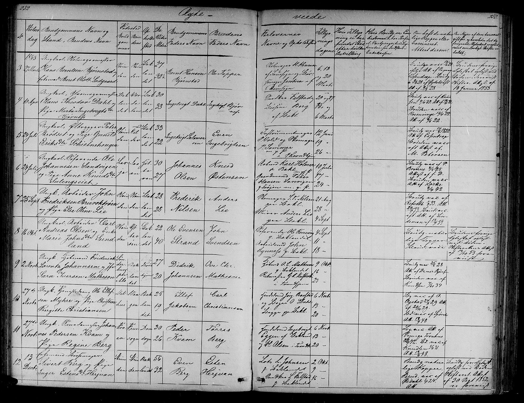 Ministerialprotokoller, klokkerbøker og fødselsregistre - Sør-Trøndelag, SAT/A-1456/604/L0219: Parish register (copy) no. 604C02, 1851-1869, p. 252-253