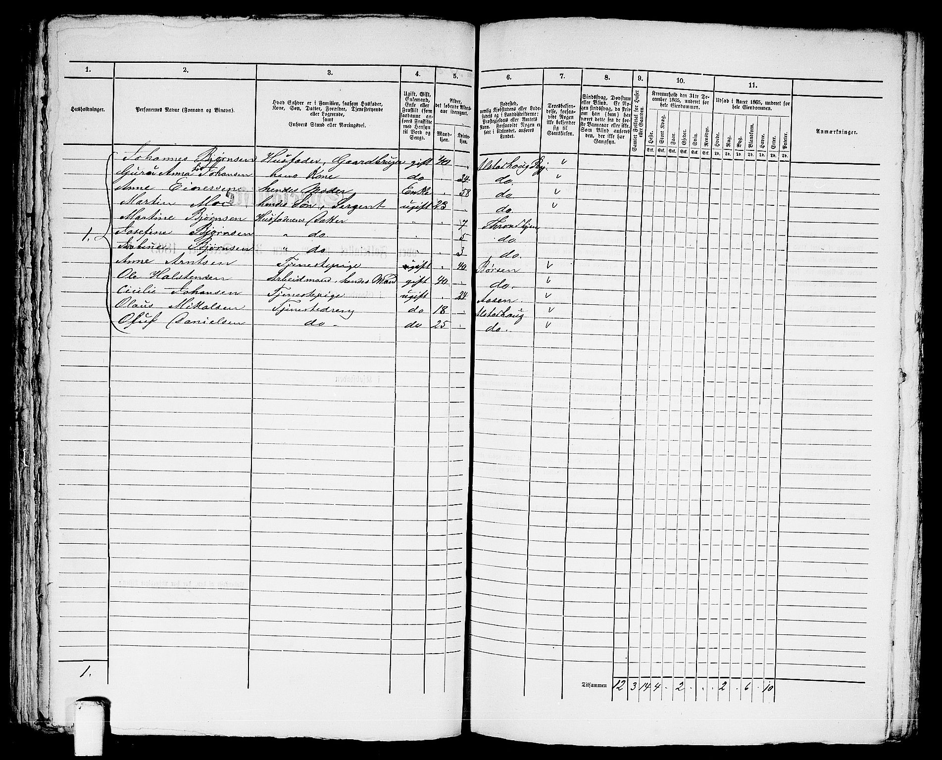 RA, 1865 census for Trondheim, 1865, p. 2246