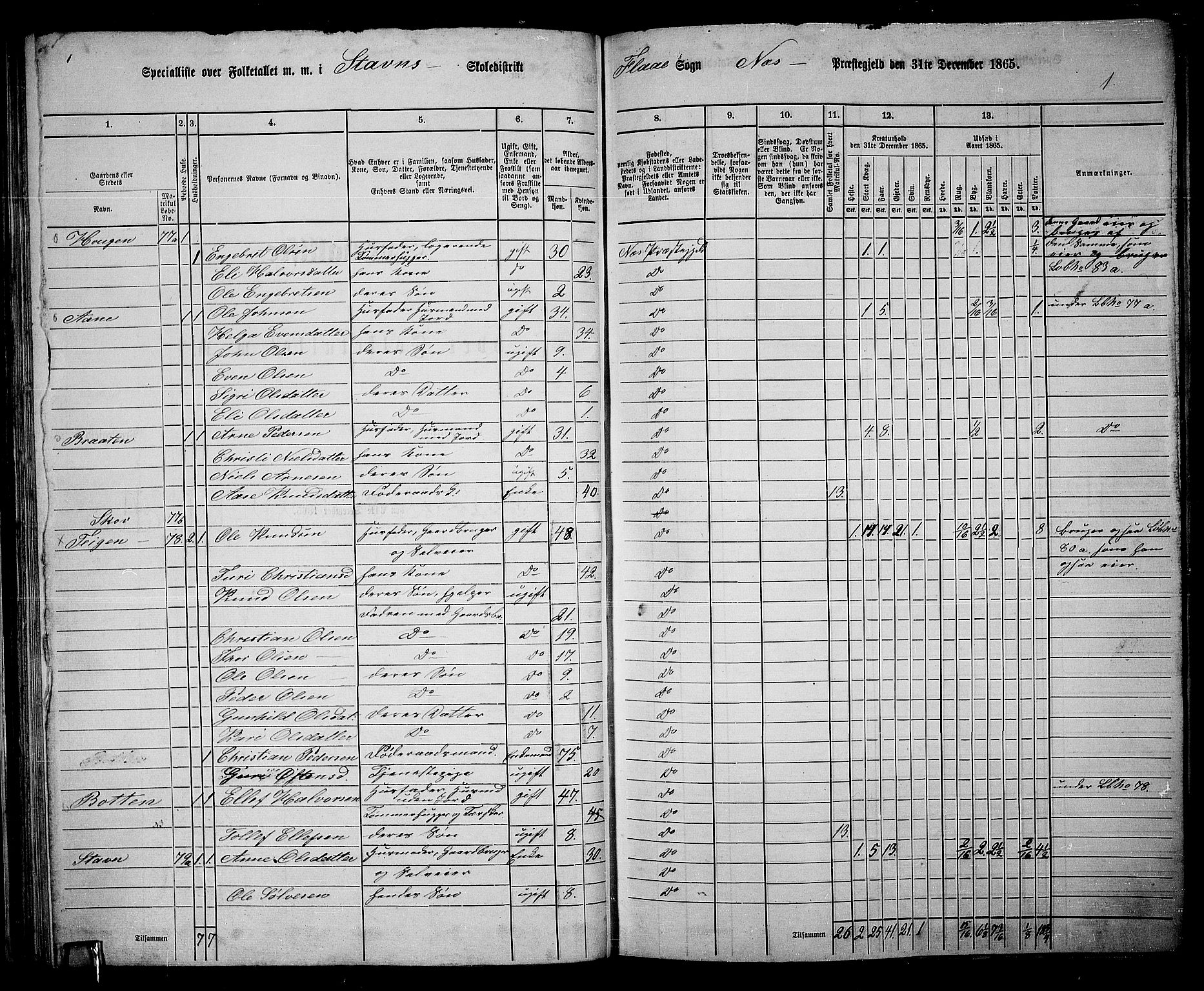 RA, 1865 census for Nes, 1865, p. 67