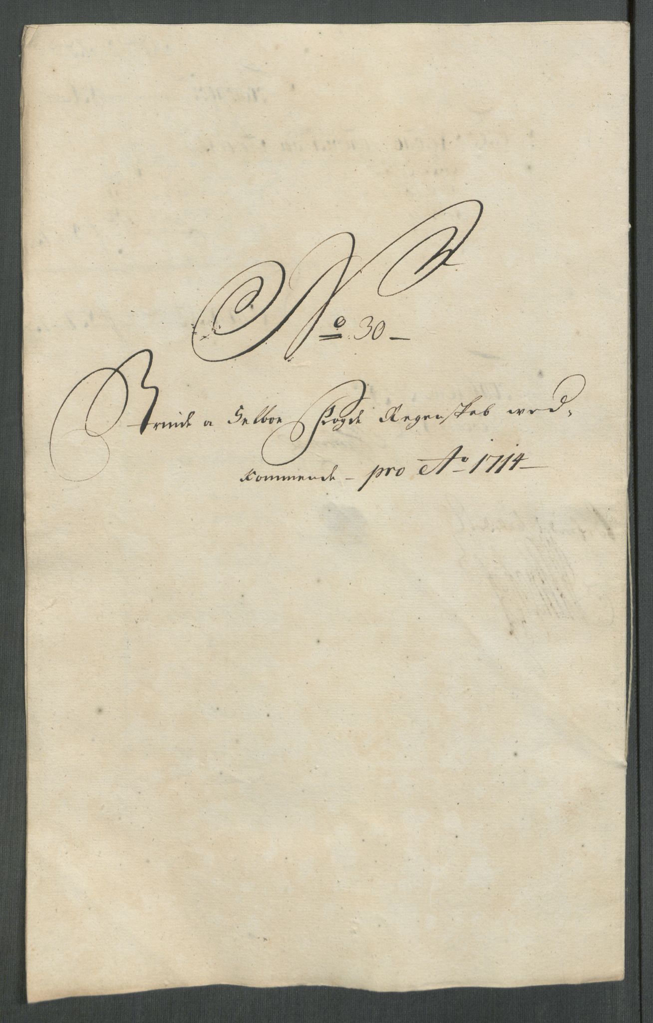 Rentekammeret inntil 1814, Reviderte regnskaper, Fogderegnskap, AV/RA-EA-4092/R61/L4114: Fogderegnskap Strinda og Selbu, 1714, p. 214