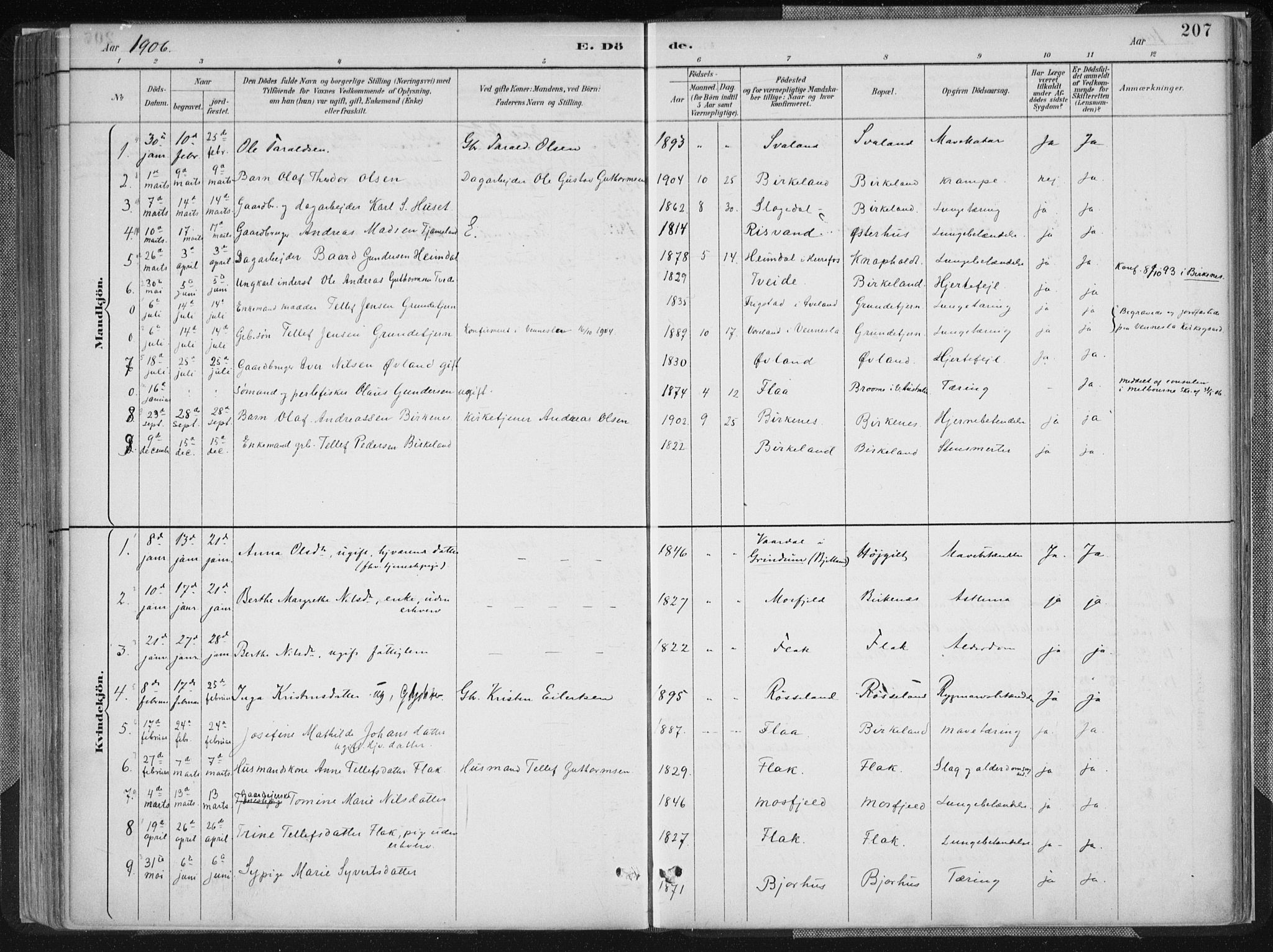 Birkenes sokneprestkontor, SAK/1111-0004/F/Fa/L0005: Parish register (official) no. A 5, 1887-1907, p. 207