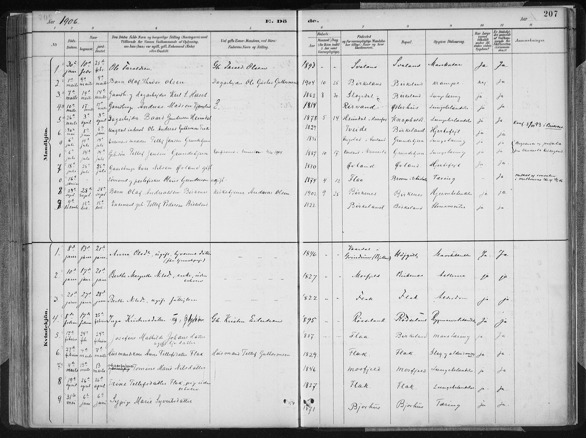 Birkenes sokneprestkontor, AV/SAK-1111-0004/F/Fa/L0005: Parish register (official) no. A 5, 1887-1907, p. 207