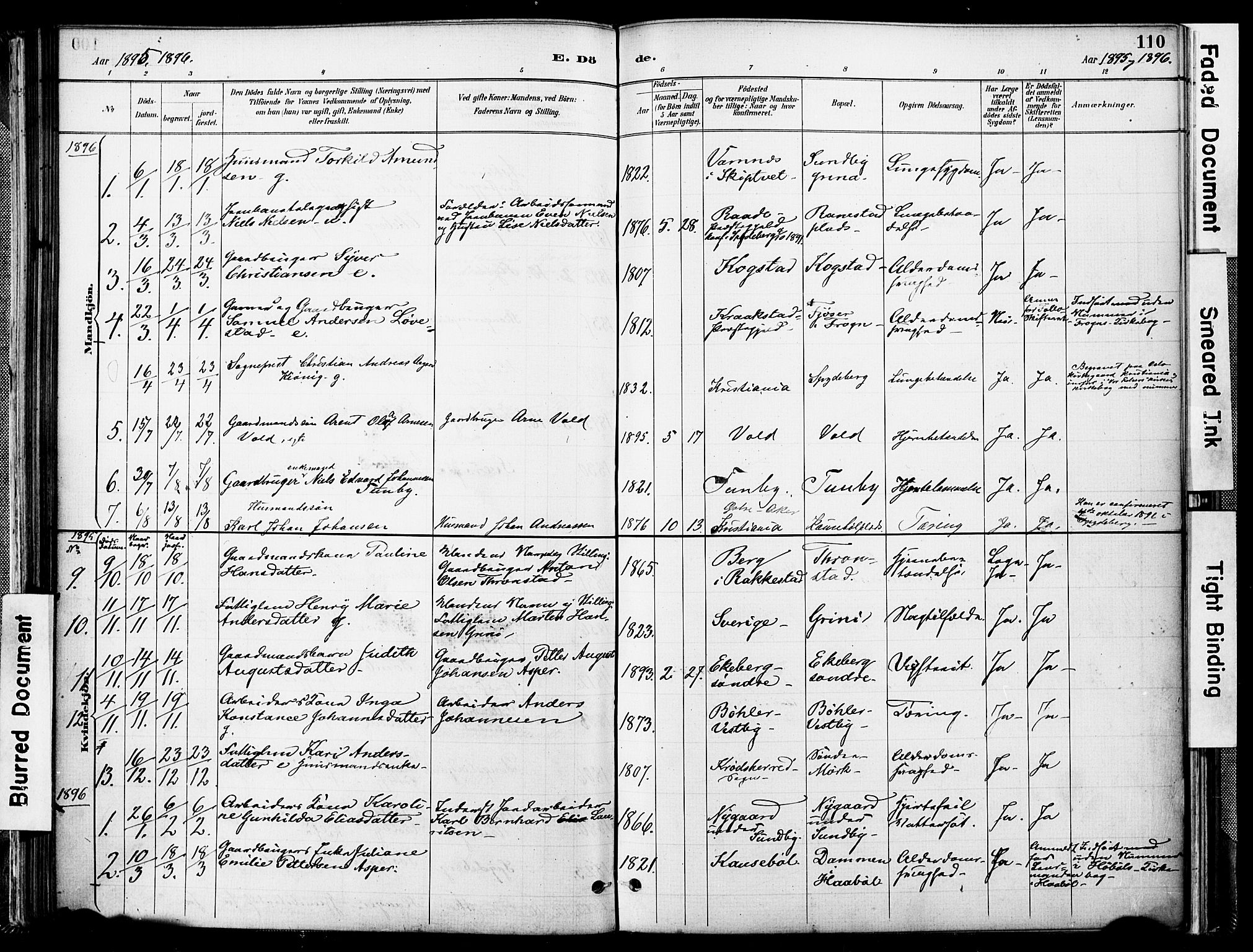 Spydeberg prestekontor Kirkebøker, AV/SAO-A-10924/F/Fa/L0008: Parish register (official) no. I 8, 1886-1900, p. 110