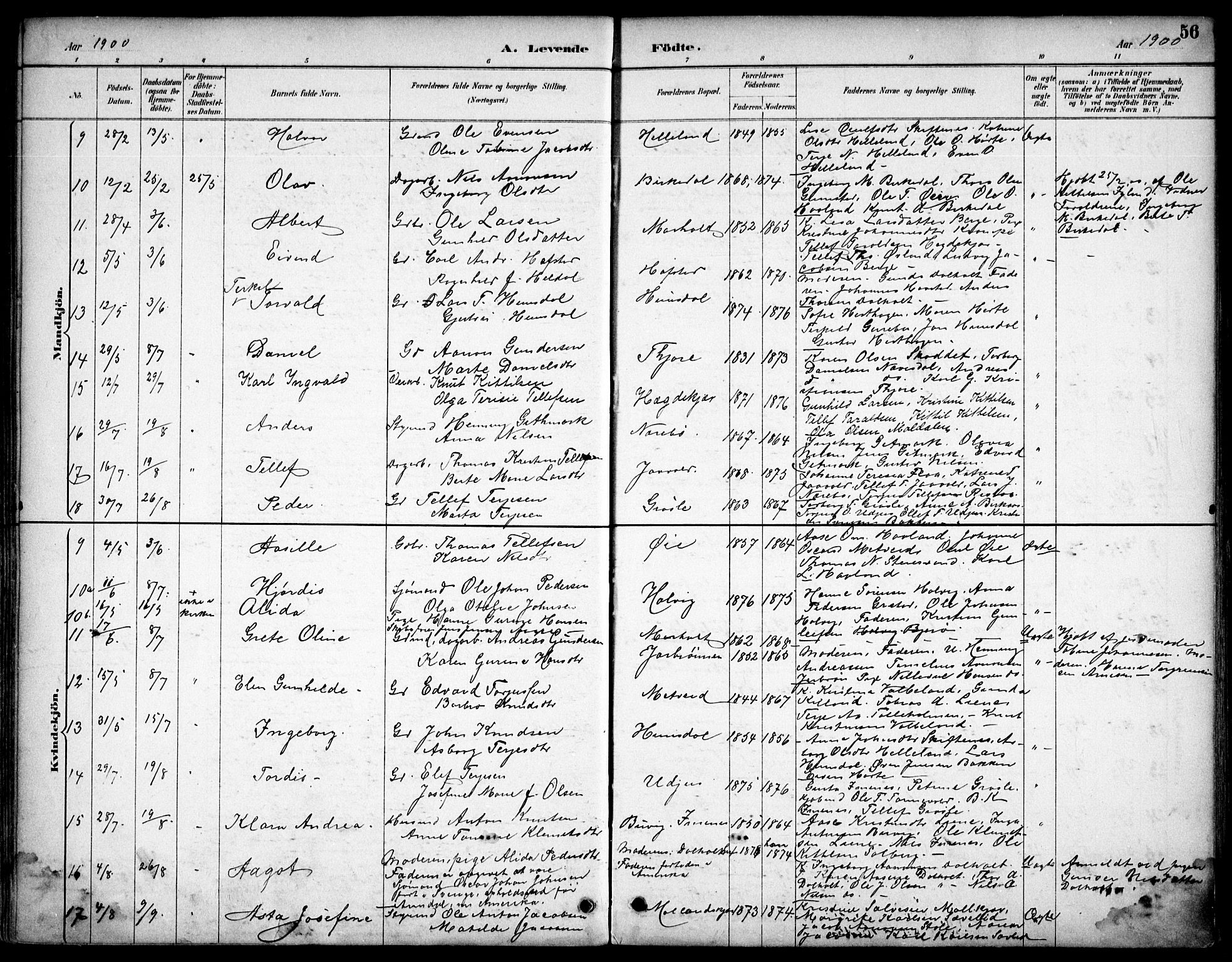 Hommedal sokneprestkontor, SAK/1111-0023/F/Fb/Fbb/L0007: Parish register (copy) no. B 7, 1885-1904, p. 56