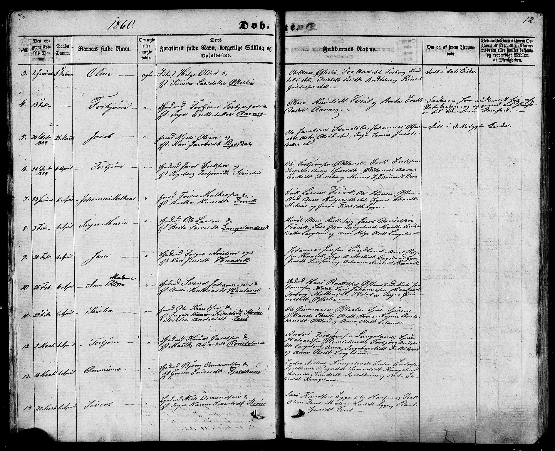 Skjold sokneprestkontor, AV/SAST-A-101847/H/Ha/Haa/L0008: Parish register (official) no. A 8, 1856-1882, p. 12