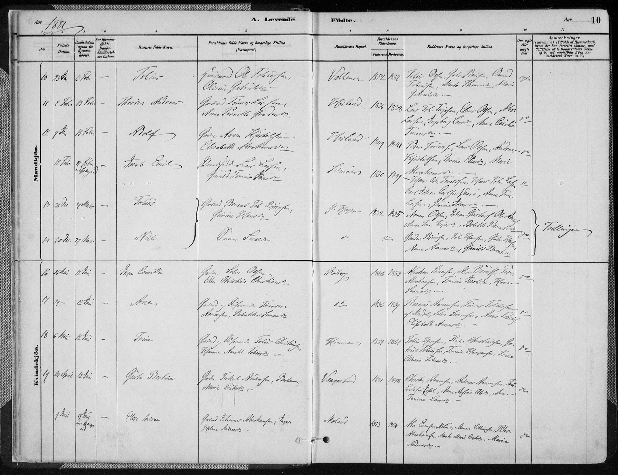 Sør-Audnedal sokneprestkontor, AV/SAK-1111-0039/F/Fa/Fab/L0009: Parish register (official) no. A 9, 1880-1895, p. 10