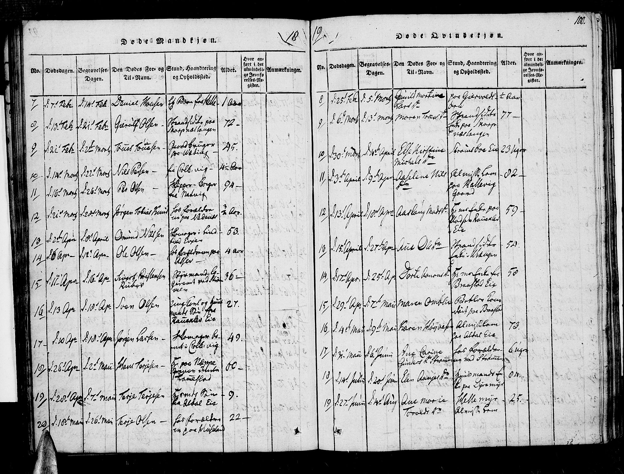 Øyestad sokneprestkontor, AV/SAK-1111-0049/F/Fa/L0012: Parish register (official) no. A 12, 1816-1827, p. 100