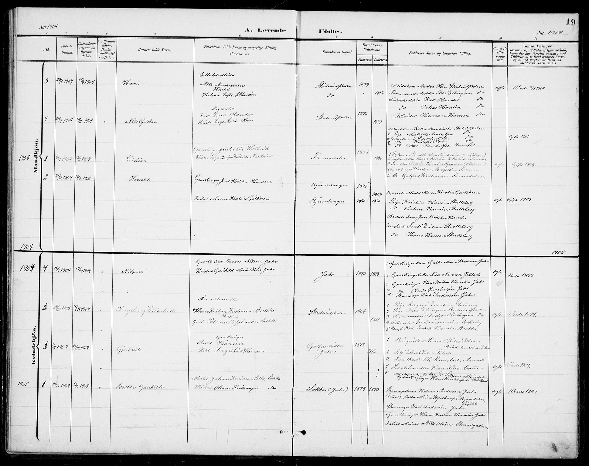 Modum kirkebøker, AV/SAKO-A-234/G/Gb/L0001: Parish register (copy) no. II 1, 1901-1942, p. 19