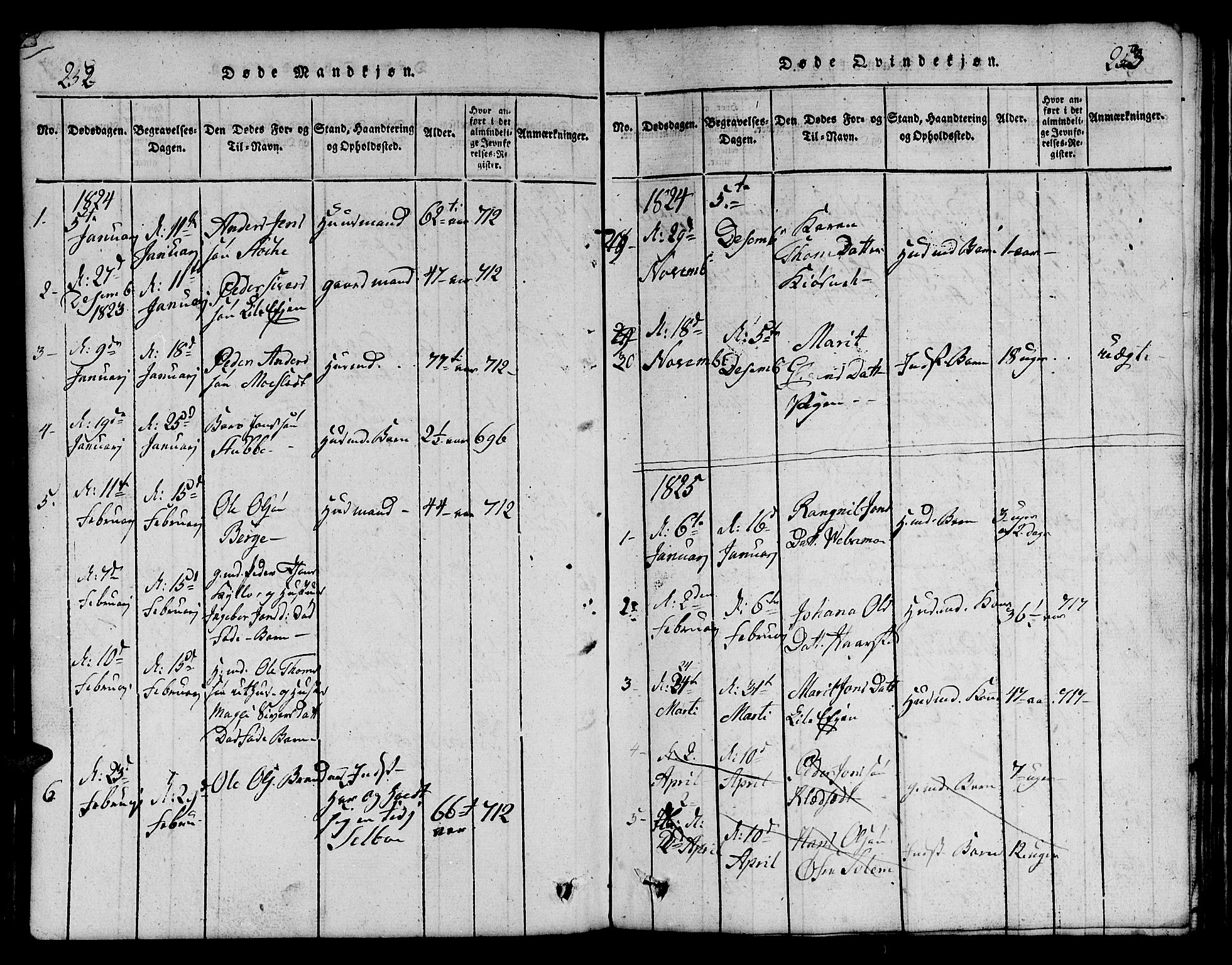 Ministerialprotokoller, klokkerbøker og fødselsregistre - Sør-Trøndelag, SAT/A-1456/695/L1152: Parish register (copy) no. 695C03, 1816-1831, p. 252-253