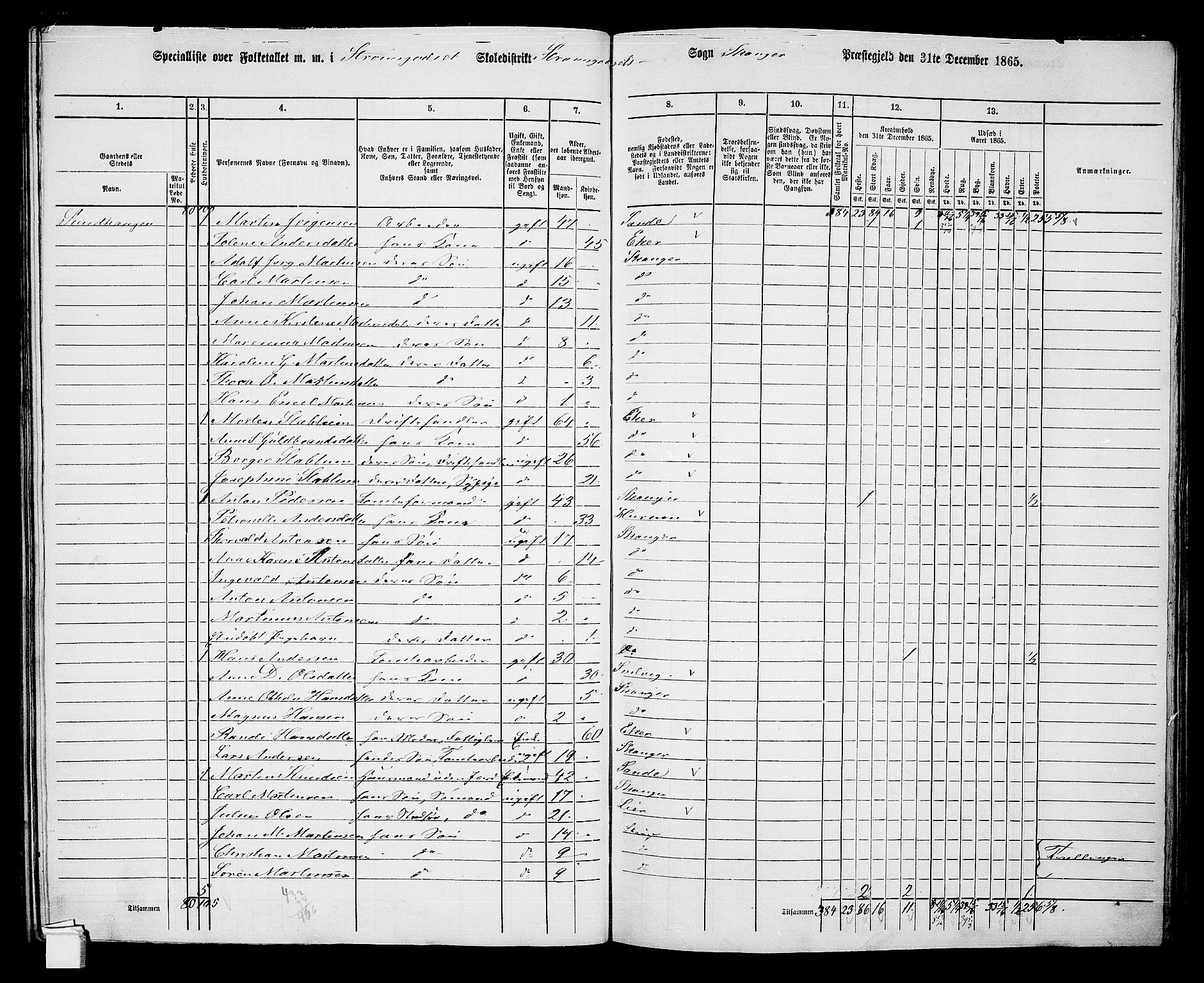 RA, 1865 census for Skoger, 1865, p. 131