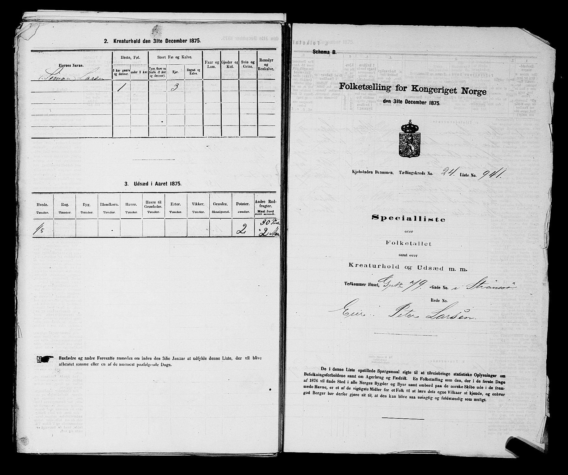 SAKO, 1875 census for 0602 Drammen, 1875, p. 2543