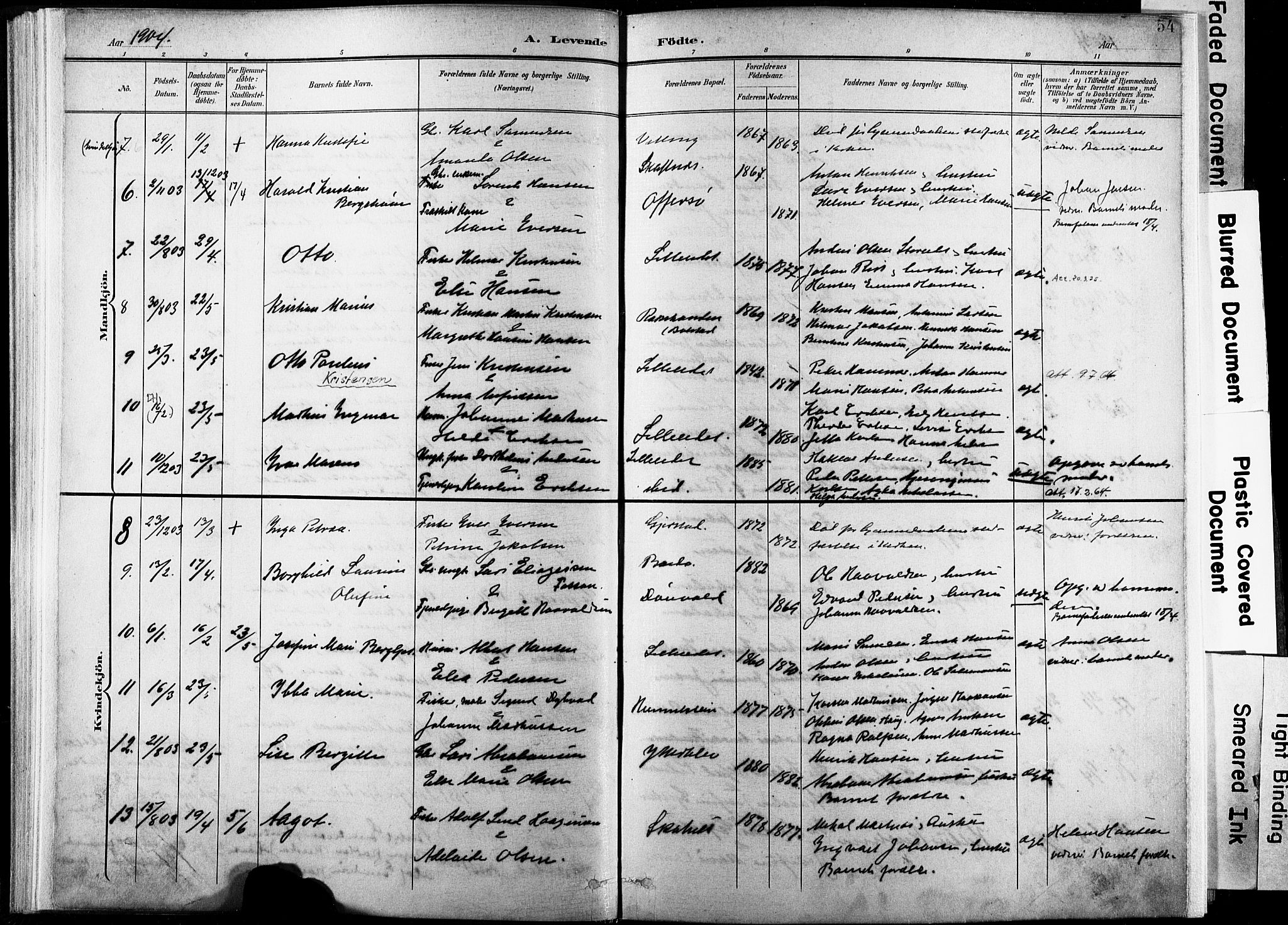 Ministerialprotokoller, klokkerbøker og fødselsregistre - Nordland, AV/SAT-A-1459/881/L1151: Parish register (official) no. 881A04, 1899-1907, p. 54