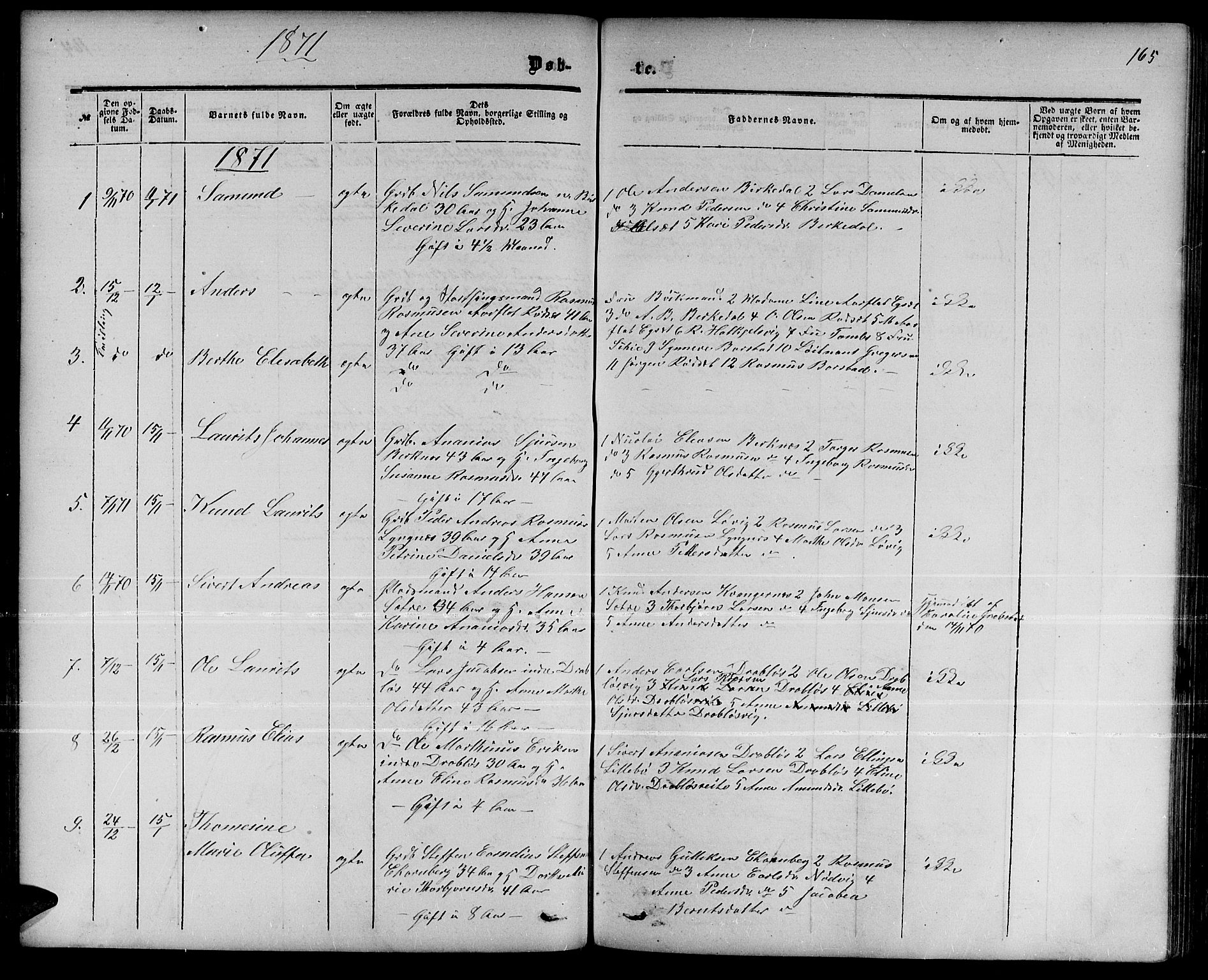 Ministerialprotokoller, klokkerbøker og fødselsregistre - Møre og Romsdal, AV/SAT-A-1454/511/L0157: Parish register (copy) no. 511C03, 1864-1884, p. 165