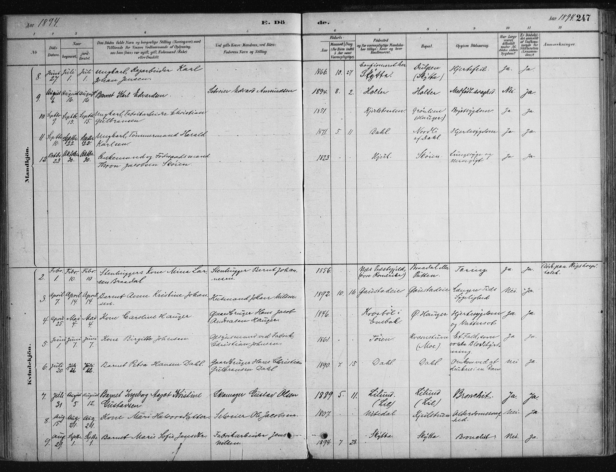 Nittedal prestekontor Kirkebøker, AV/SAO-A-10365a/F/Fa/L0007: Parish register (official) no. I 7, 1879-1901, p. 247