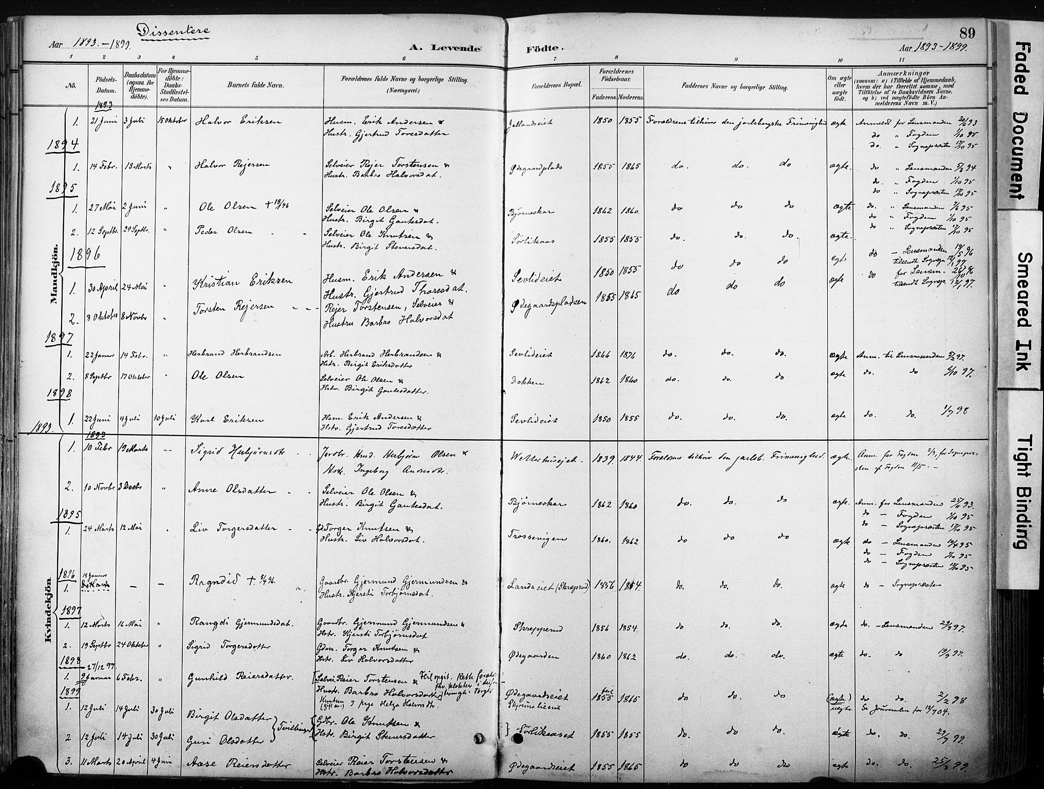 Nore kirkebøker, SAKO/A-238/F/Fb/L0002: Parish register (official) no. II 2, 1886-1906, p. 89