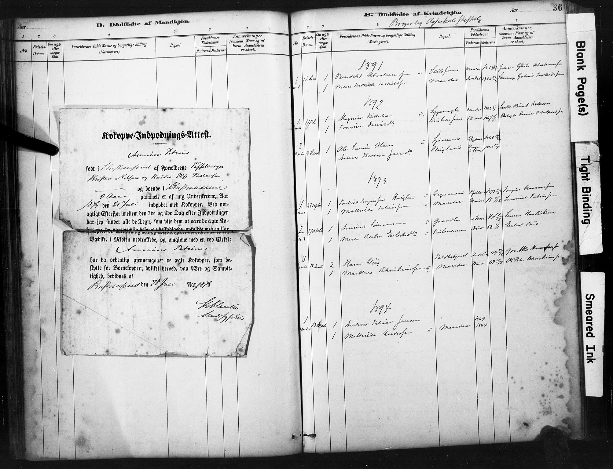 Mandal sokneprestkontor, SAK/1111-0030/F/Fa/Faa/L0017: Parish register (official) no. A 17, 1880-1926, p. 36
