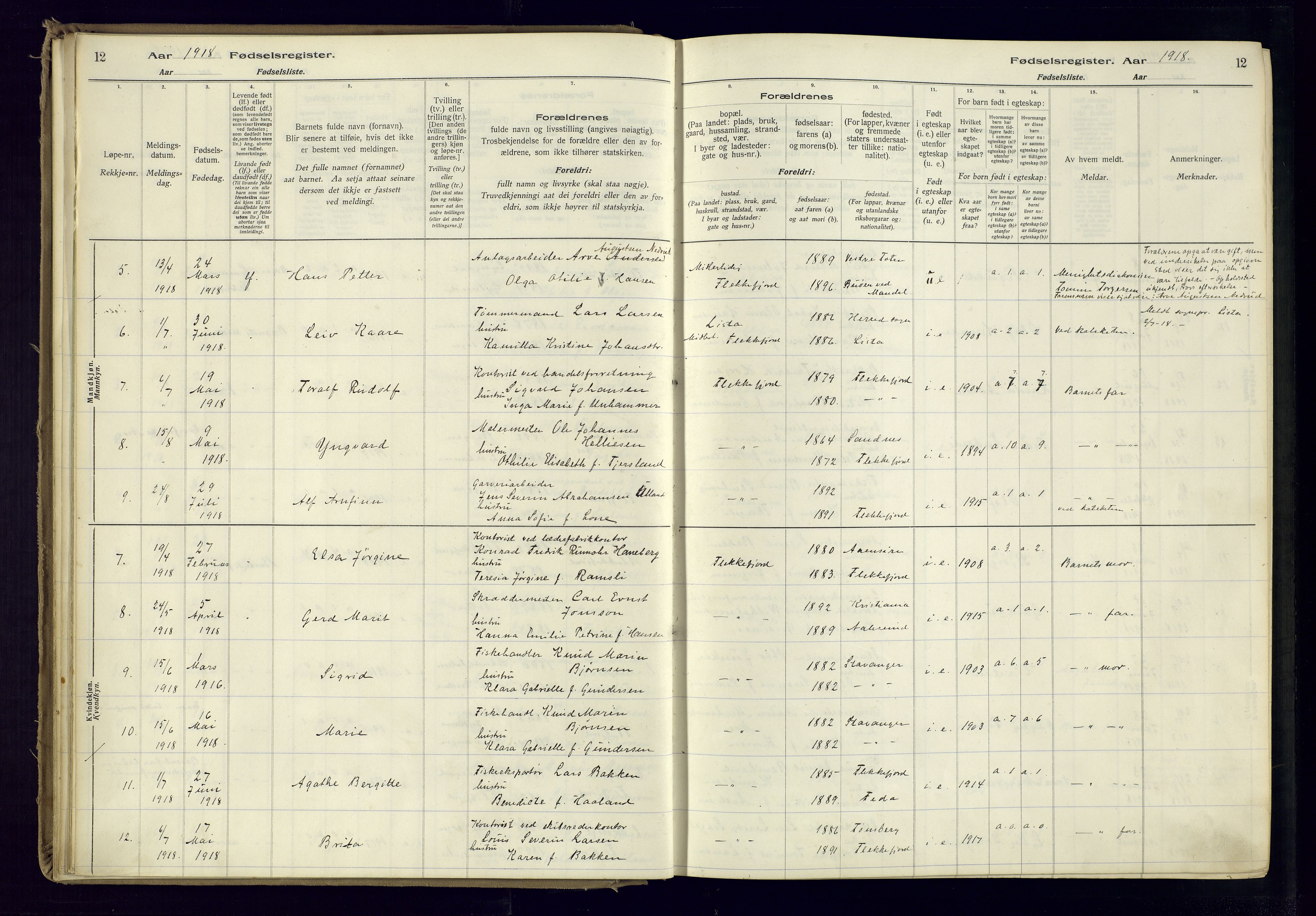 Flekkefjord sokneprestkontor, AV/SAK-1111-0012/J/Ja/L0001: Birth register no. 1, 1916-1948, p. 12