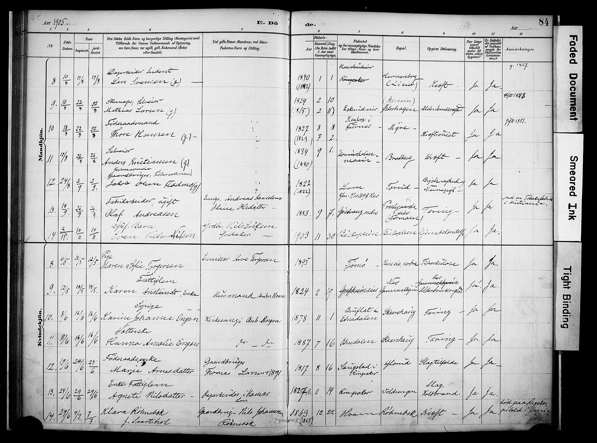 Nes prestekontor, Hedmark, AV/SAH-PREST-020/K/Ka/L0011: Parish register (official) no. 11, 1887-1905, p. 84