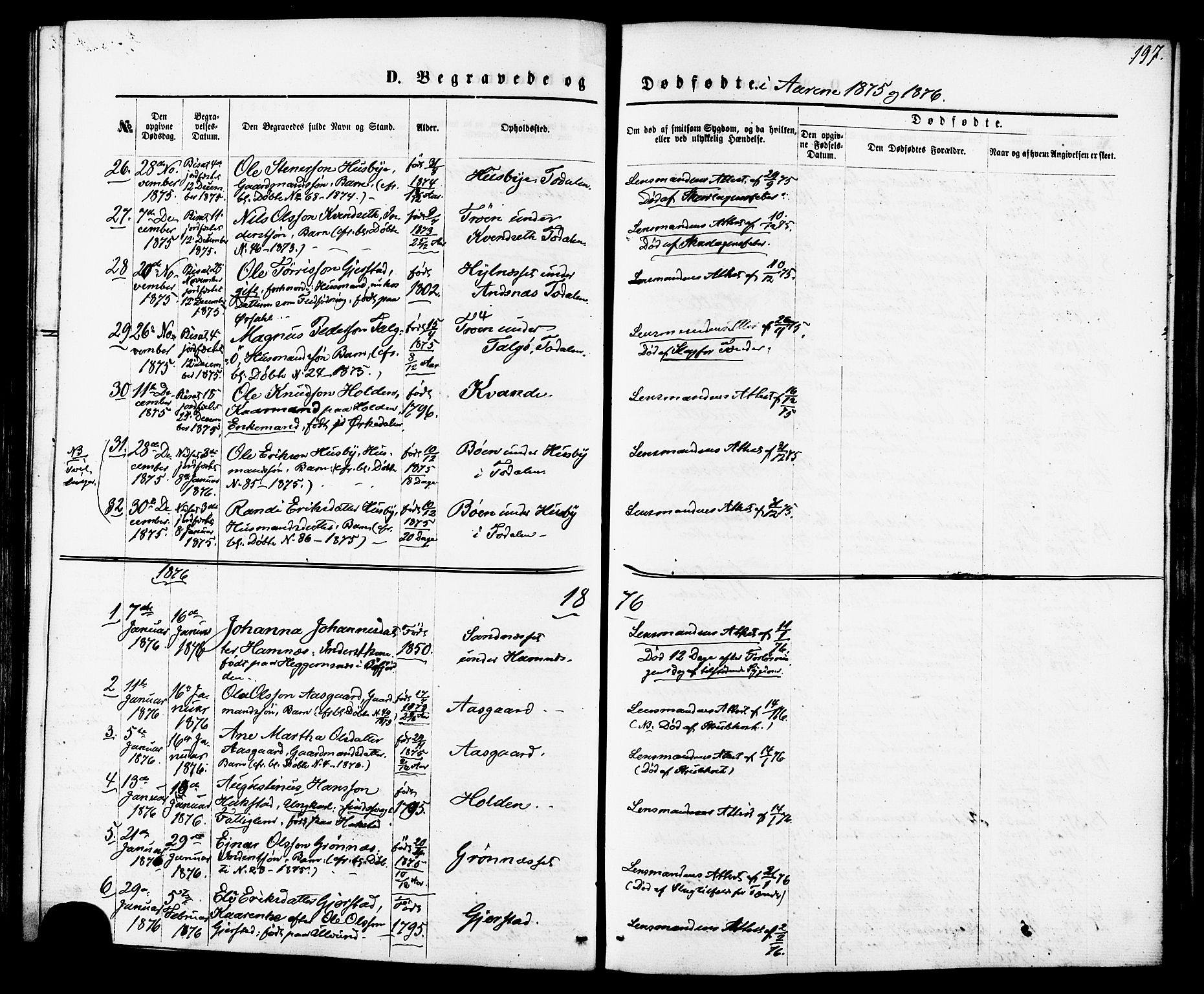 Ministerialprotokoller, klokkerbøker og fødselsregistre - Møre og Romsdal, AV/SAT-A-1454/592/L1027: Parish register (official) no. 592A05, 1865-1878, p. 197