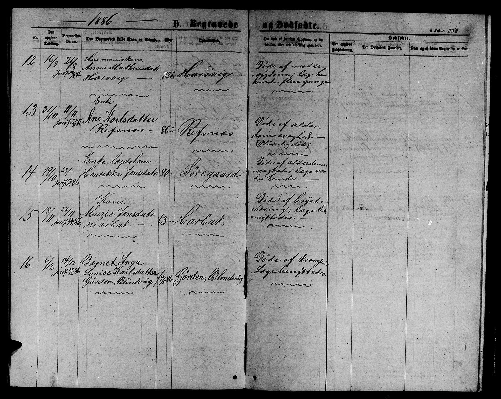 Ministerialprotokoller, klokkerbøker og fødselsregistre - Sør-Trøndelag, AV/SAT-A-1456/656/L0695: Parish register (copy) no. 656C01, 1867-1889, p. 238