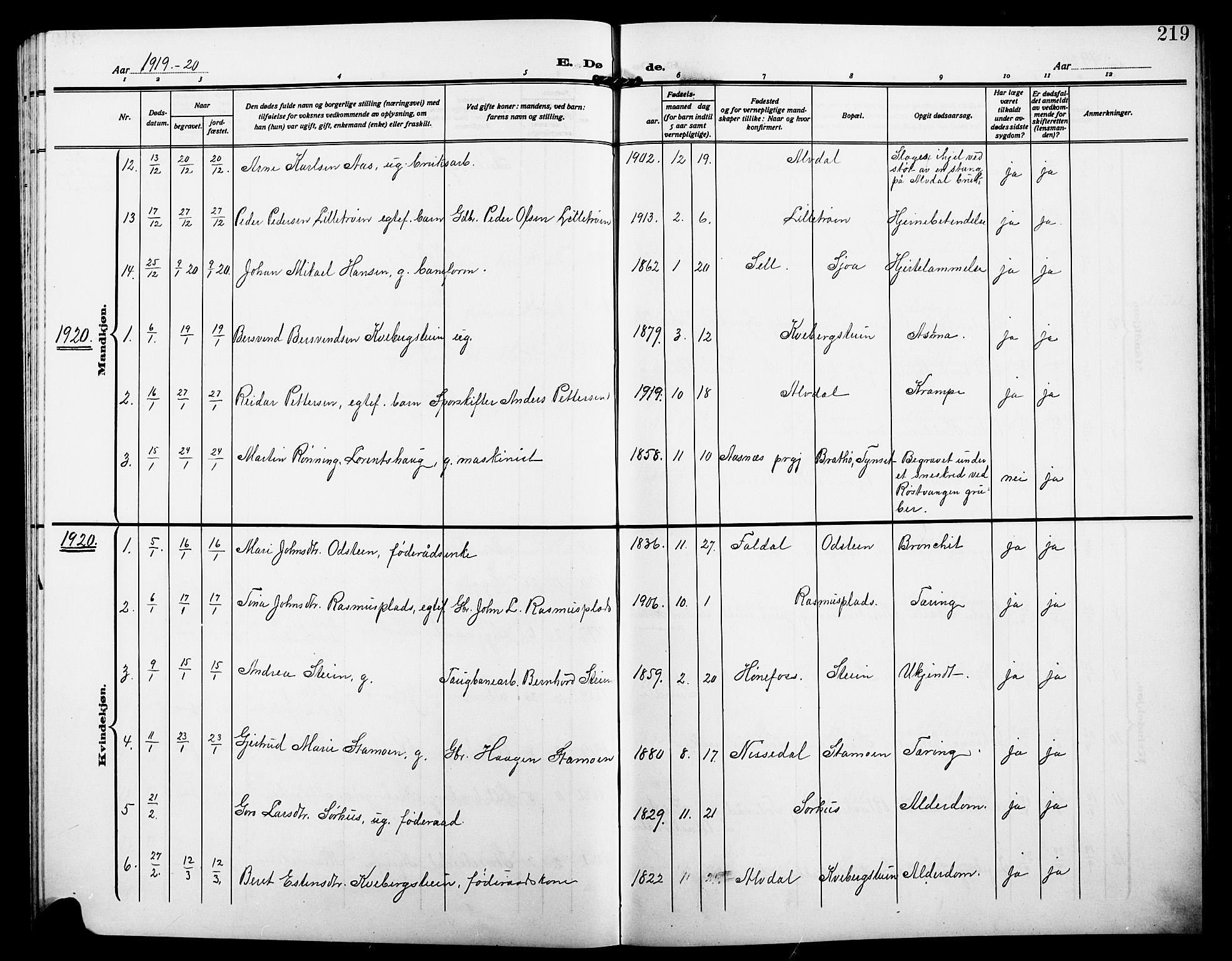 Alvdal prestekontor, AV/SAH-PREST-060/H/Ha/Hab/L0005: Parish register (copy) no. 5, 1908-1923, p. 219
