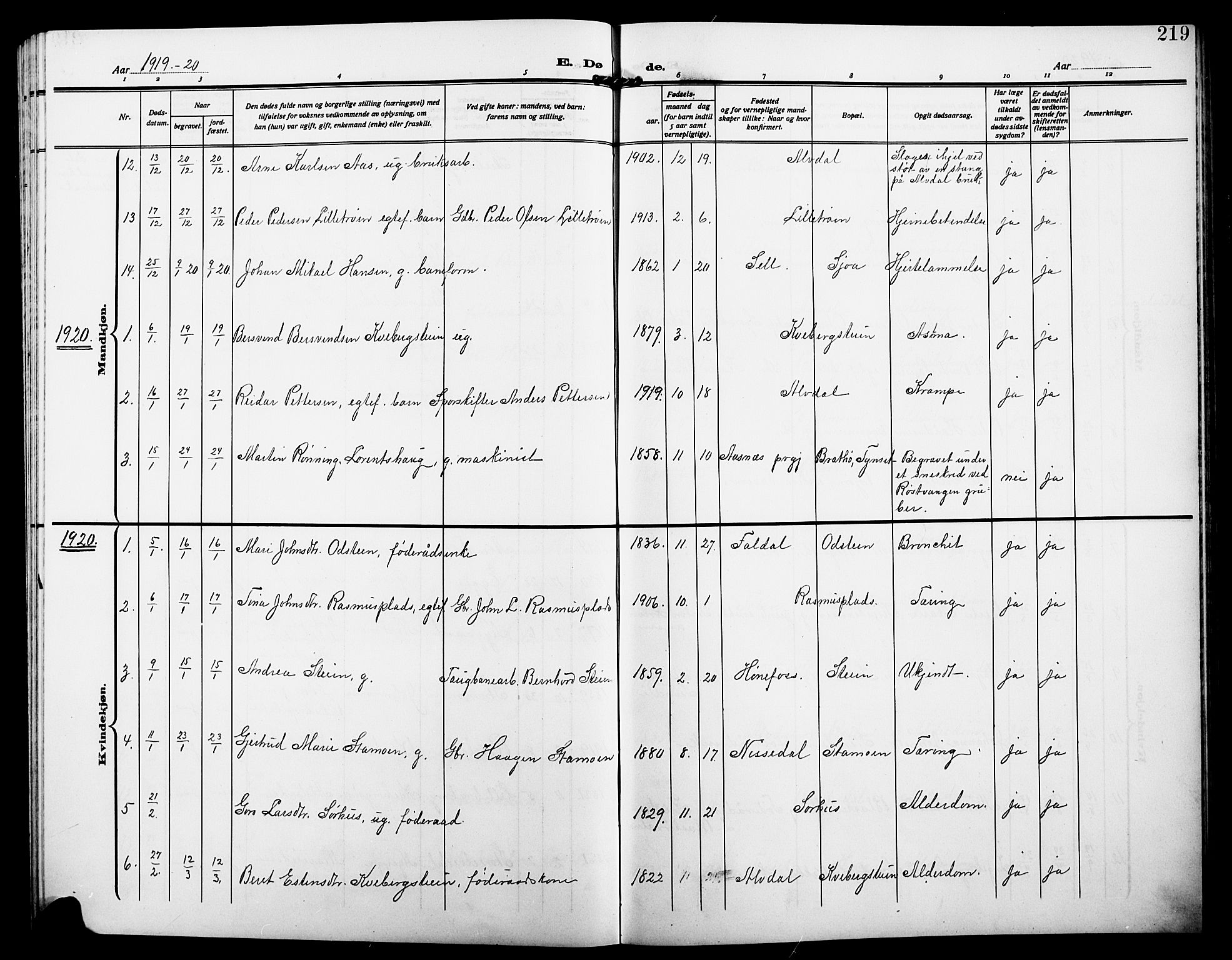 Alvdal prestekontor, SAH/PREST-060/H/Ha/Hab/L0005: Parish register (copy) no. 5, 1908-1923, p. 219