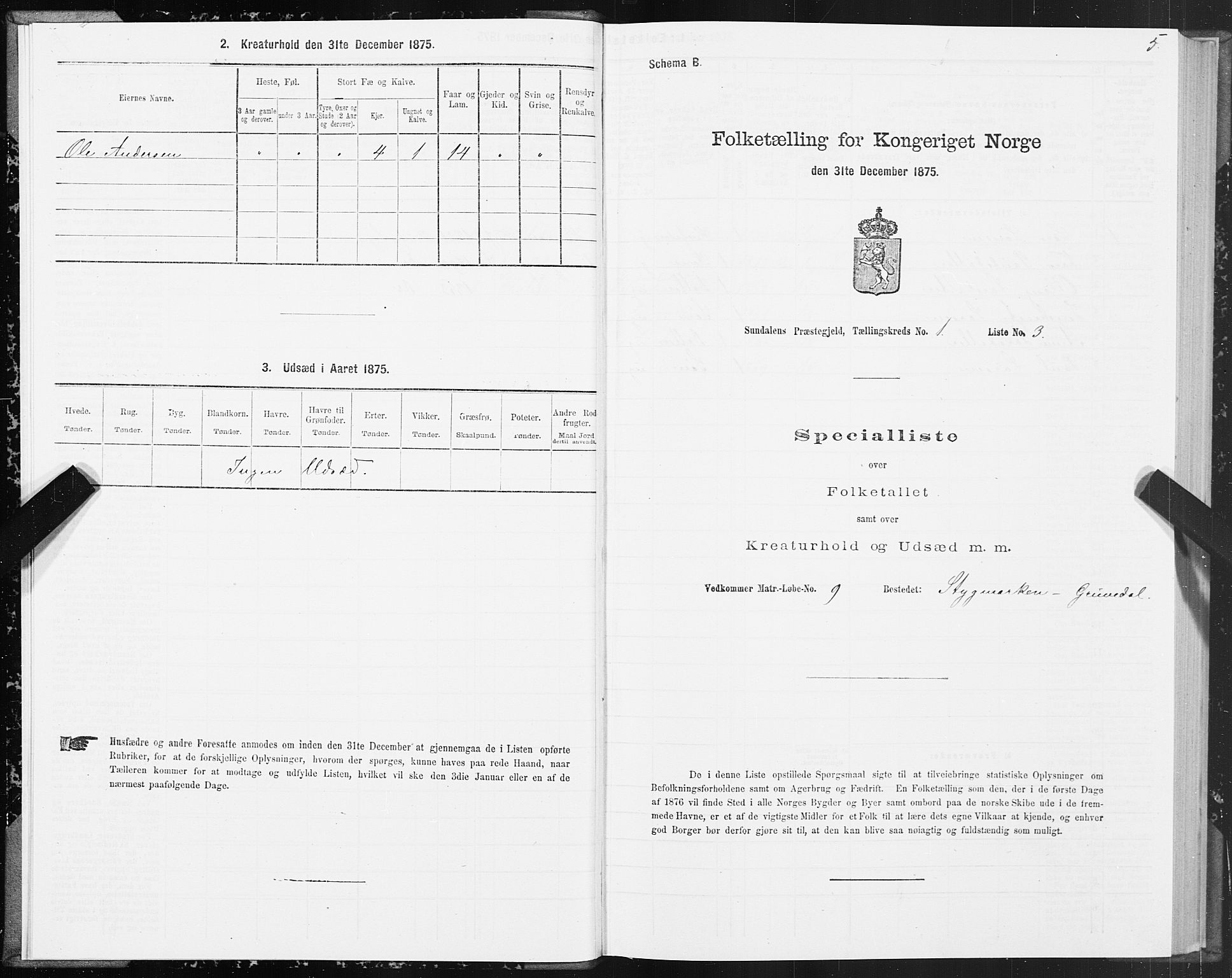 SAT, 1875 census for 1563P Sunndal, 1875, p. 1005
