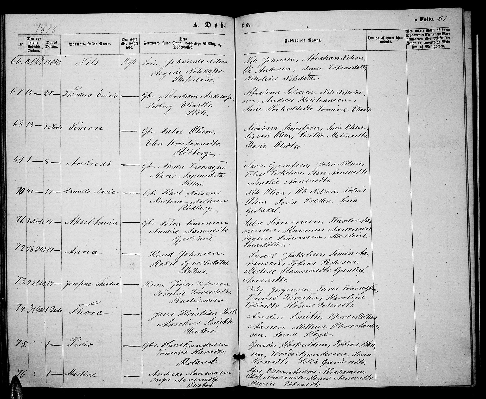 Sør-Audnedal sokneprestkontor, SAK/1111-0039/F/Fb/Fbb/L0004: Parish register (copy) no. B 4, 1868-1879, p. 81