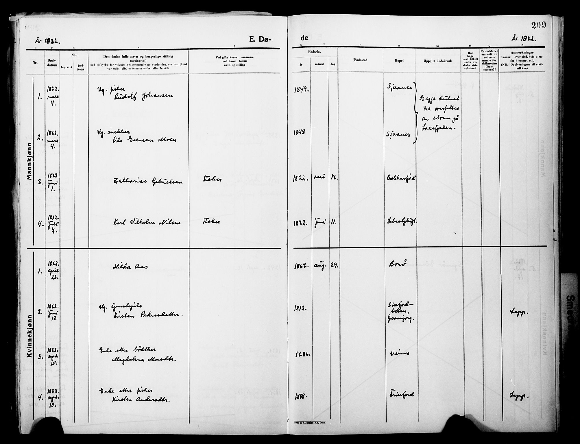 Lebesby sokneprestkontor, AV/SATØ-S-1353/H/Ha/L0004kirke: Parish register (official) no. 4, 1870-1902, p. 209