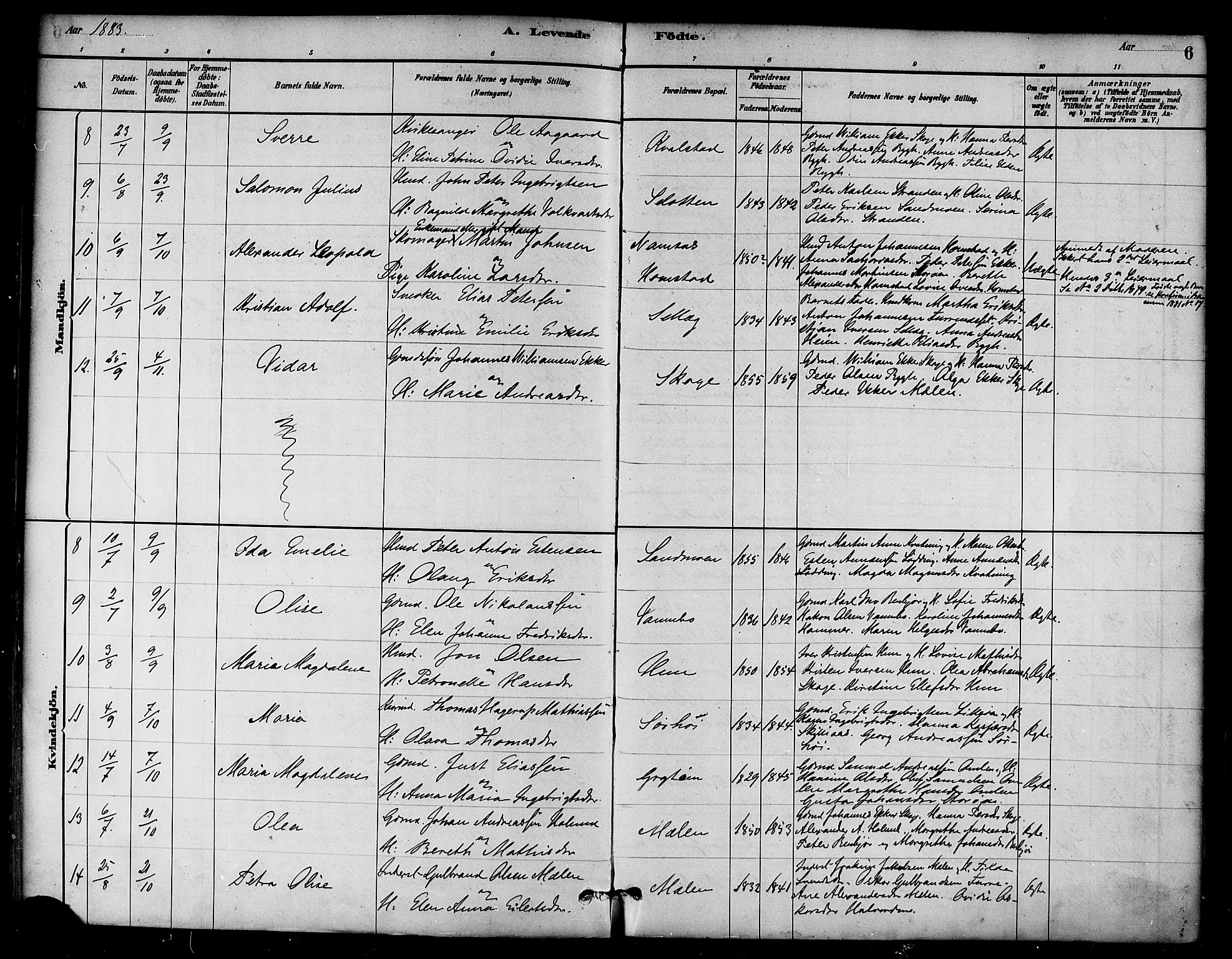 Ministerialprotokoller, klokkerbøker og fødselsregistre - Nord-Trøndelag, SAT/A-1458/766/L0563: Parish register (official) no. 767A01, 1881-1899, p. 6