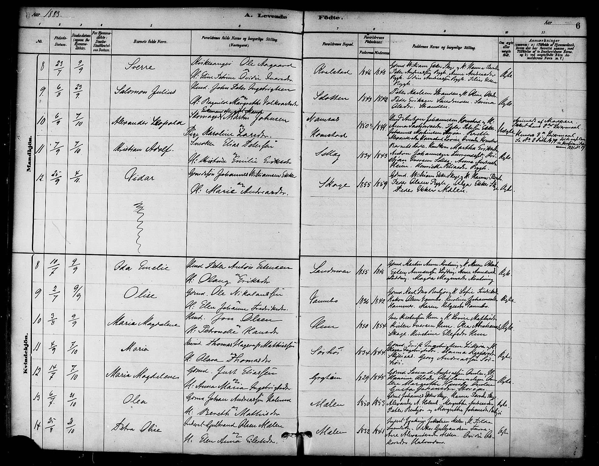 Ministerialprotokoller, klokkerbøker og fødselsregistre - Nord-Trøndelag, AV/SAT-A-1458/766/L0563: Parish register (official) no. 767A01, 1881-1899, p. 6