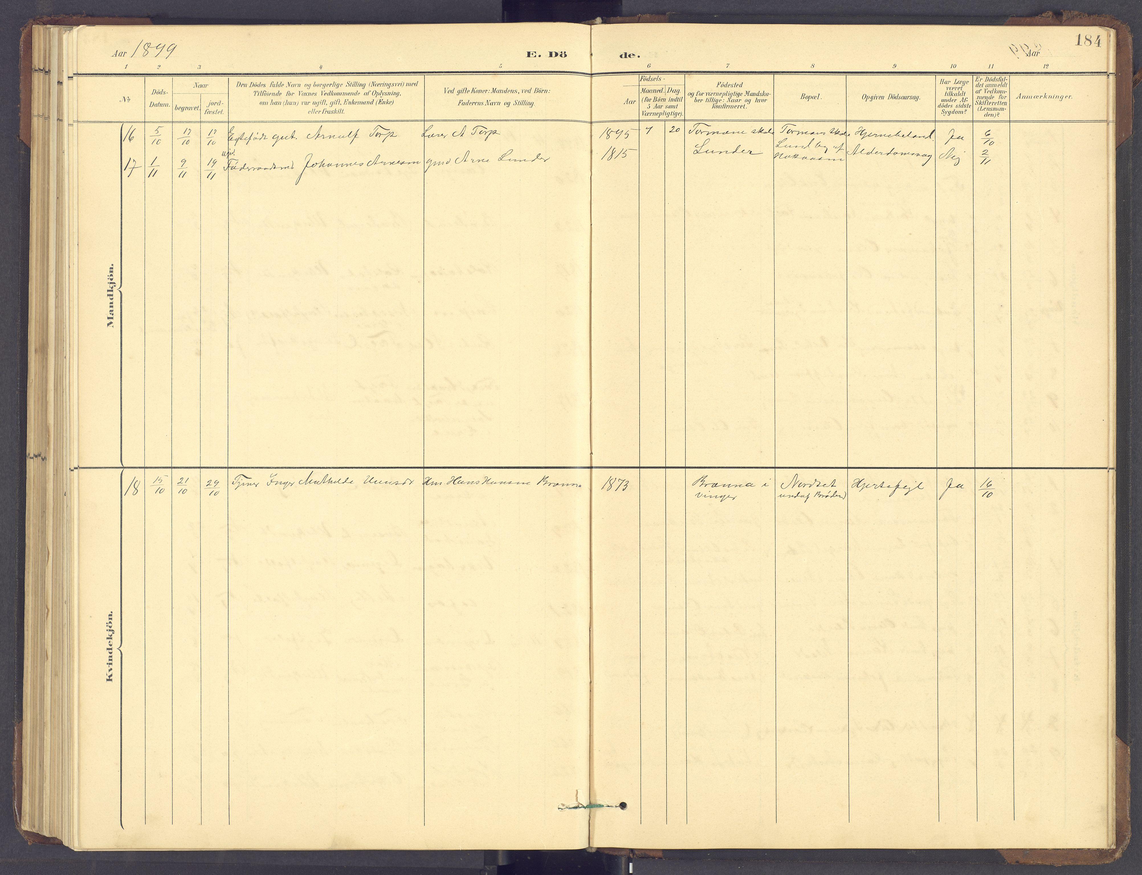 Brandval prestekontor, SAH/PREST-034/H/Ha/Hab/L0002: Parish register (copy) no. 2, 1895-1904, p. 184