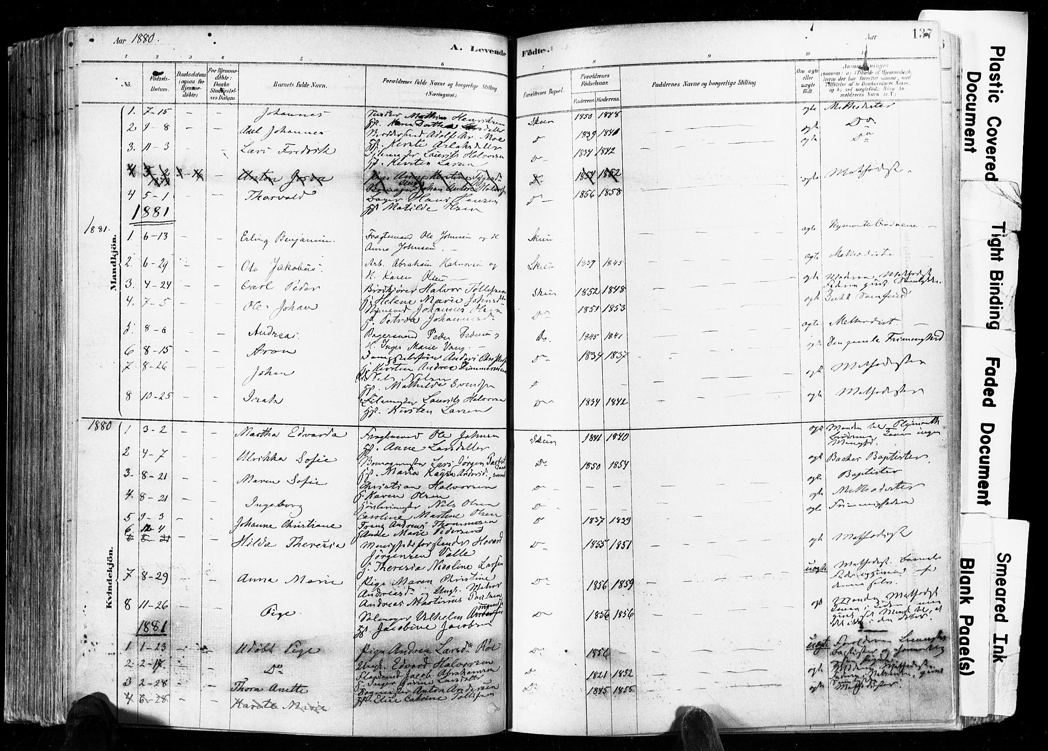 Skien kirkebøker, SAKO/A-302/F/Fa/L0009: Parish register (official) no. 9, 1878-1890, p. 137