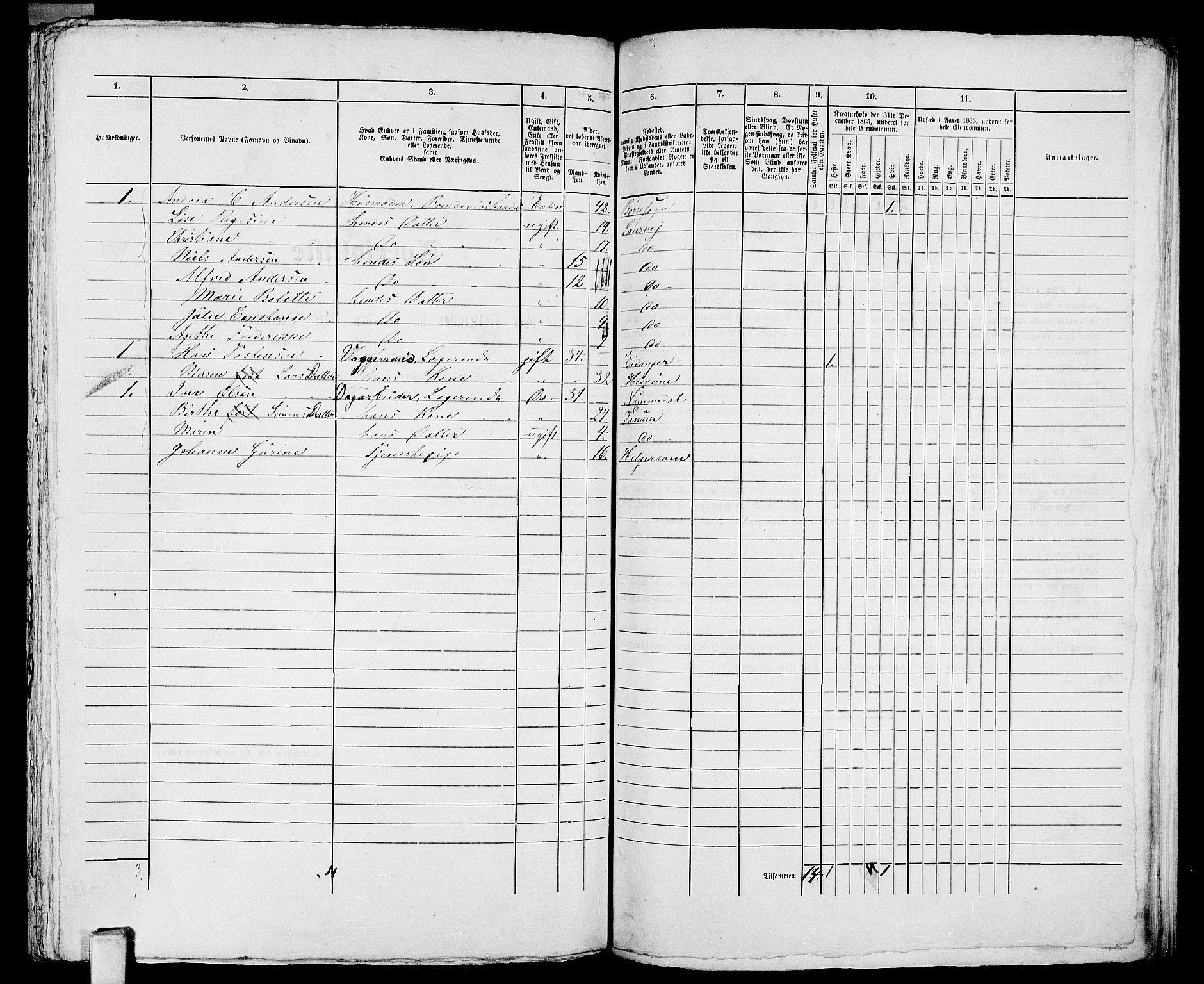 RA, 1865 census for Larvik, 1865, p. 1113