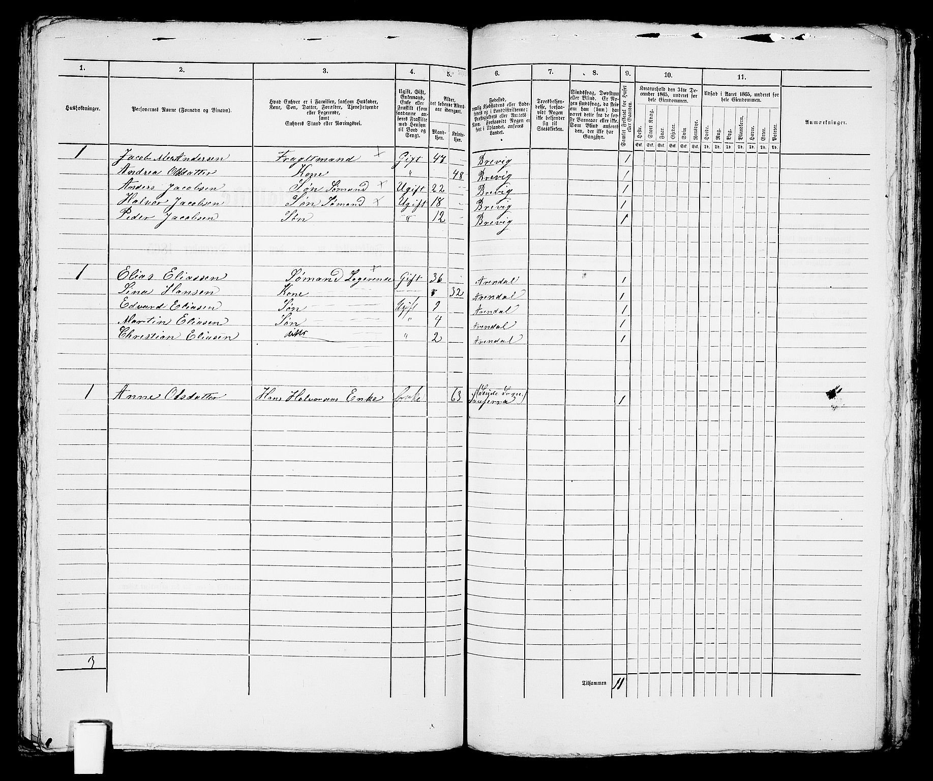 RA, 1865 census for Brevik, 1865, p. 305