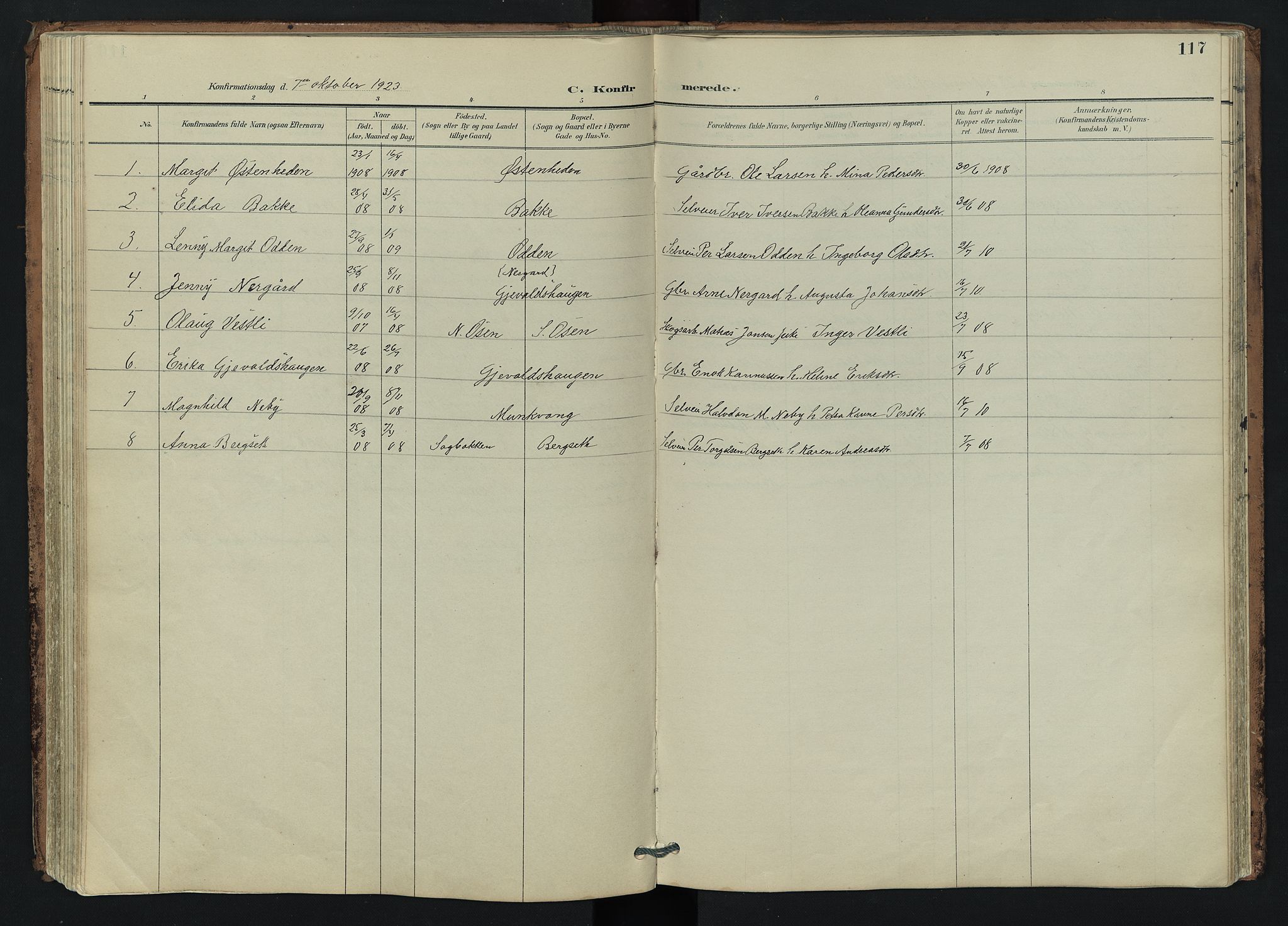 Trysil prestekontor, AV/SAH-PREST-046/H/Ha/Hab/L0007: Parish register (copy) no. 7, 1896-1948, p. 117