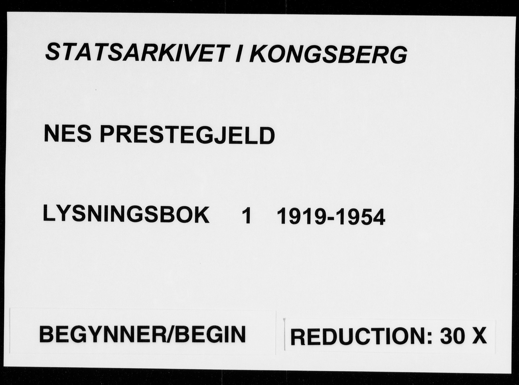 Nes kirkebøker, AV/SAKO-A-236/H/Ha/L0001: Banns register no. 1, 1919-1954