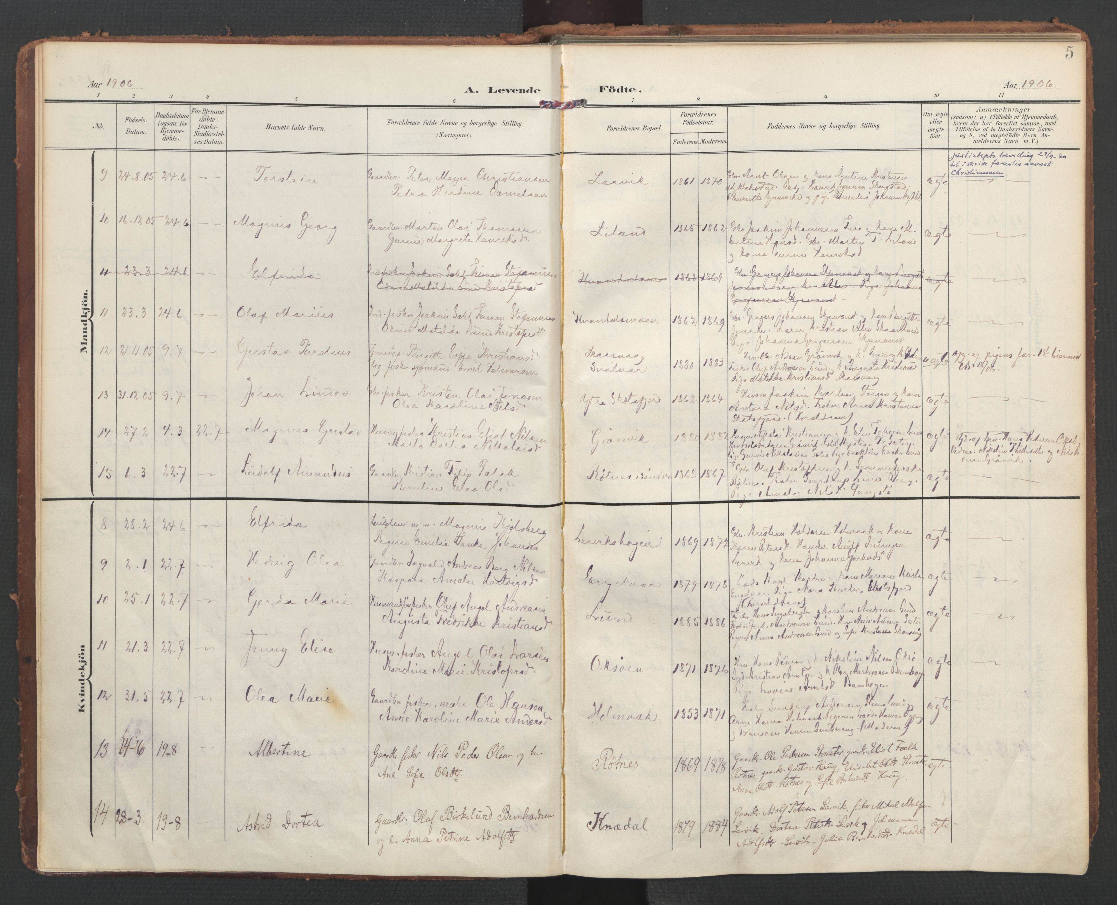 Ministerialprotokoller, klokkerbøker og fødselsregistre - Nordland, AV/SAT-A-1459/855/L0805: Parish register (official) no. 855A13, 1906-1920, p. 5