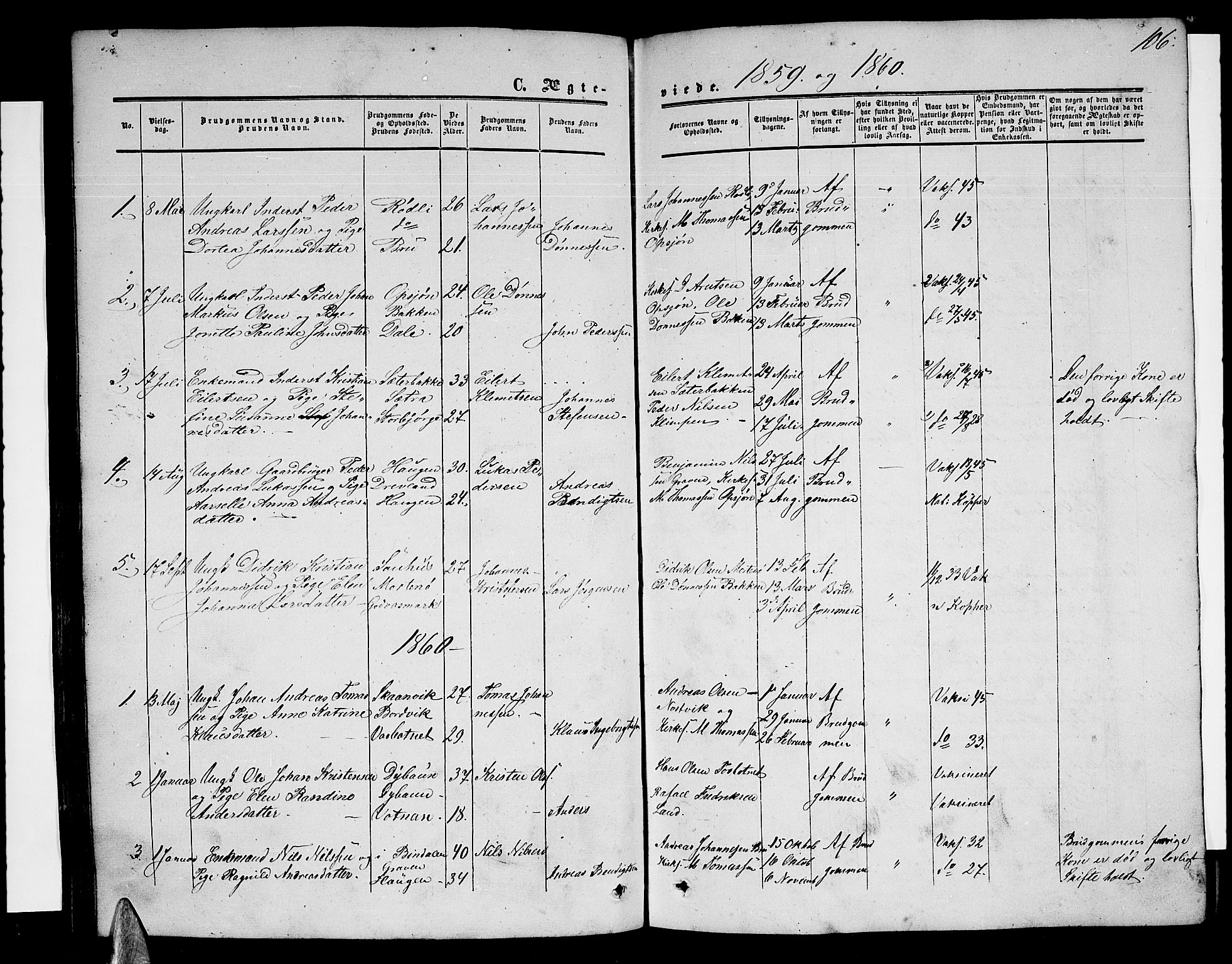 Ministerialprotokoller, klokkerbøker og fødselsregistre - Nordland, AV/SAT-A-1459/814/L0229: Parish register (copy) no. 814C02, 1859-1883, p. 106